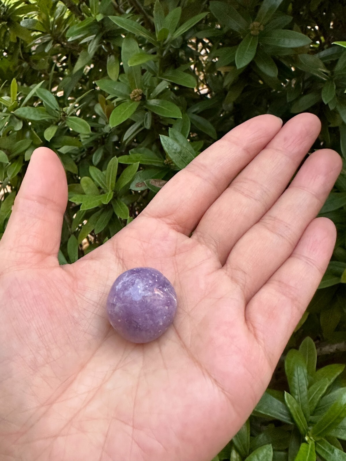 Grade A++ Lepidolite Tumbled Stones 0.75-1.25 Inch, Wholesale Bulk Lot