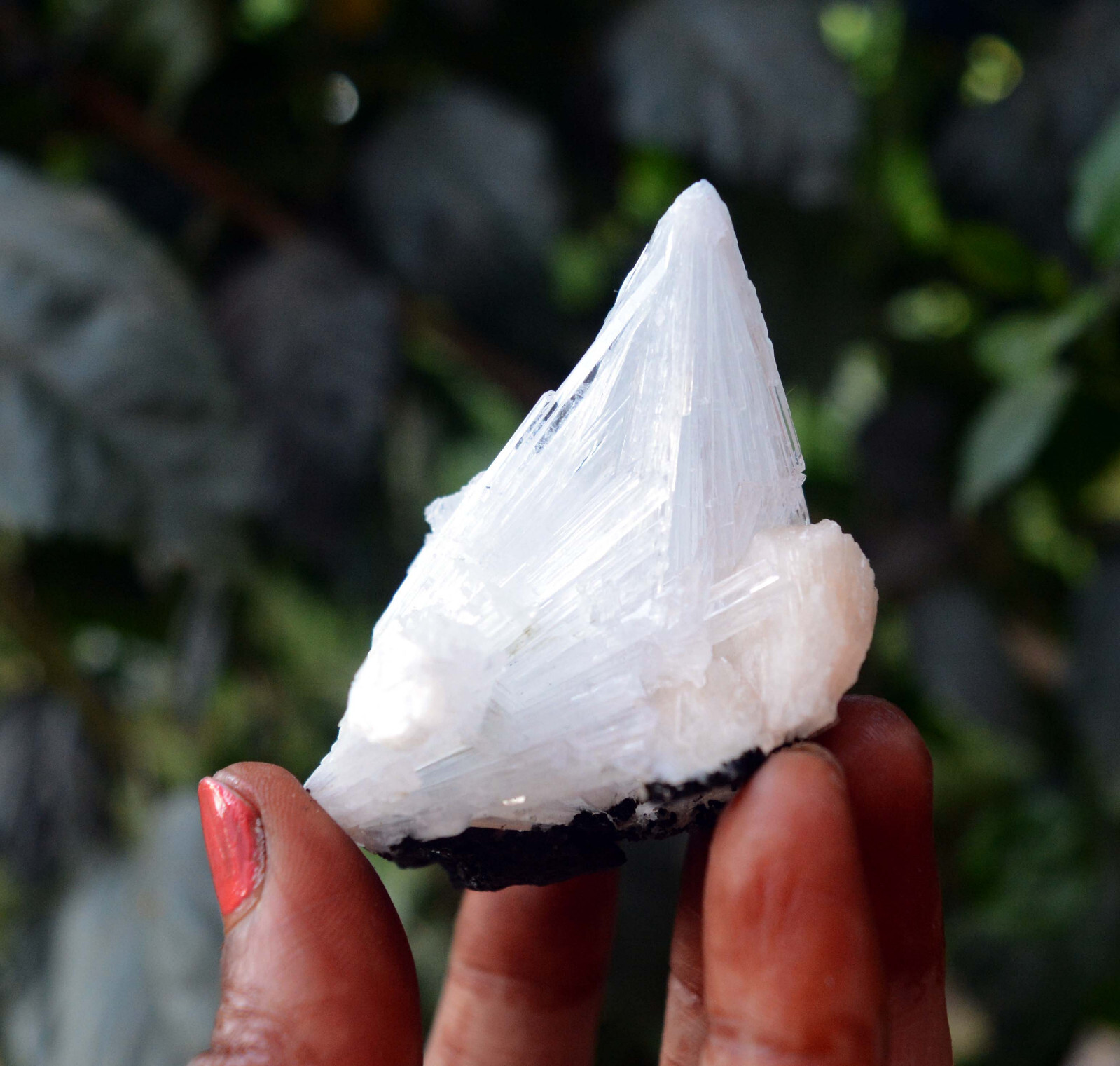 scolecite spray w/ stilbite minerals specimen j-7