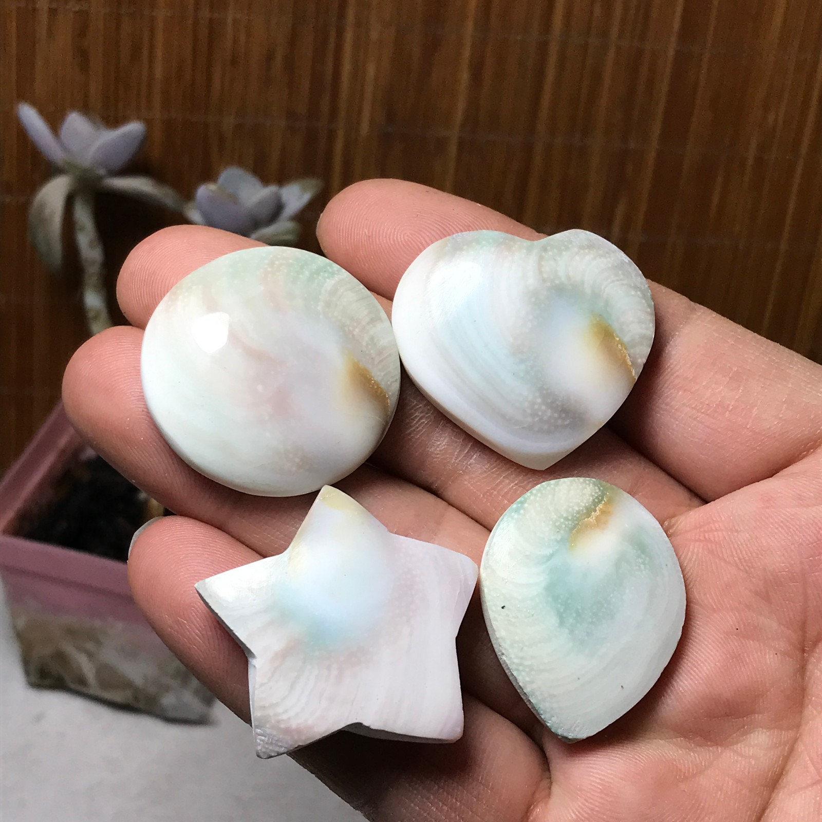 4Pcs Natural sun shell star Heart Reiki Shiva Eye ocean quartz carve A3334