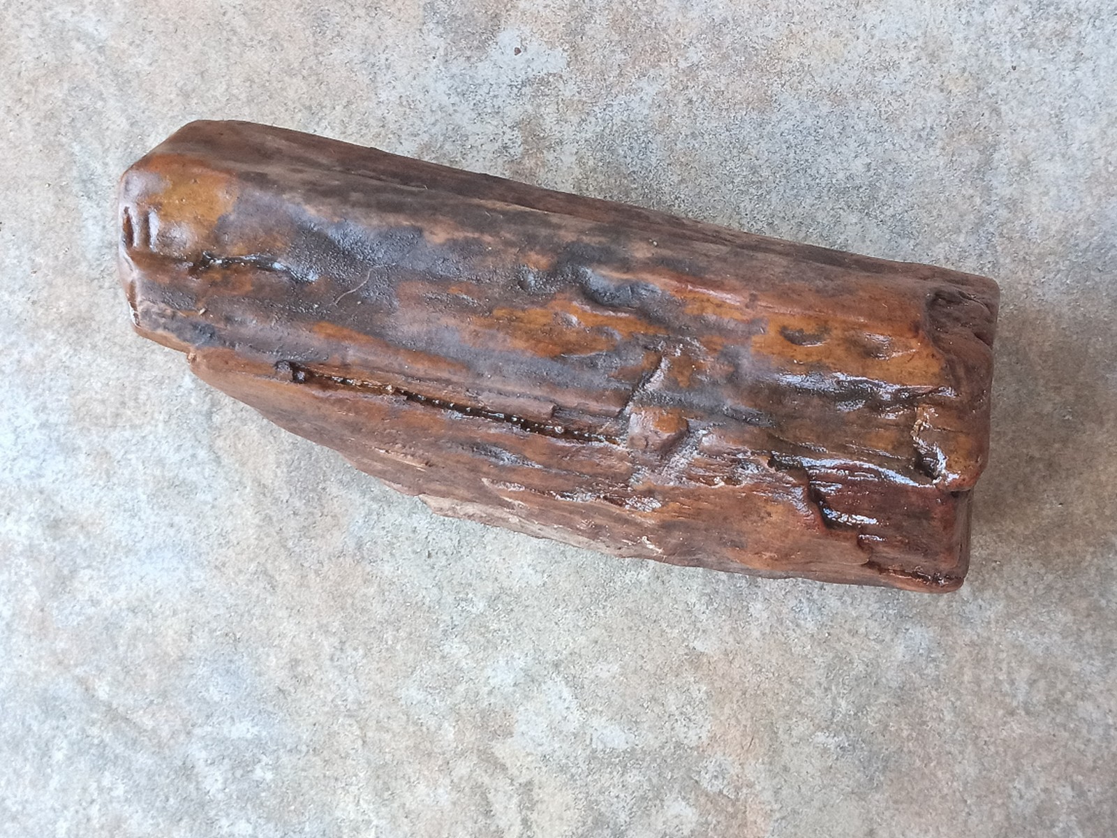 Petrified Wood Log Fossil 6 ” Yellow Creek Mississippi United States