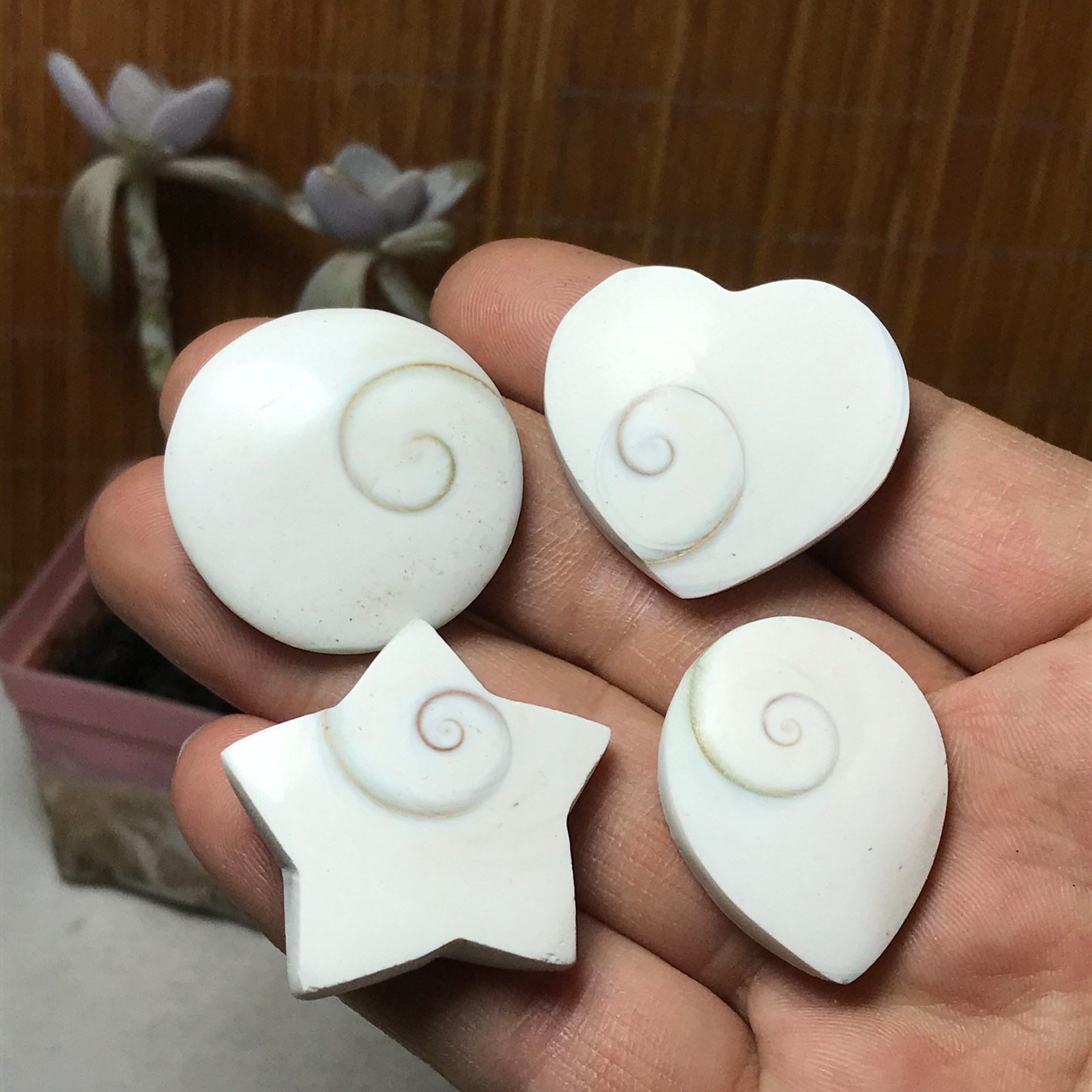4Pcs Natural sun shell star Heart Reiki Shiva Eye ocean quartz carve A3334