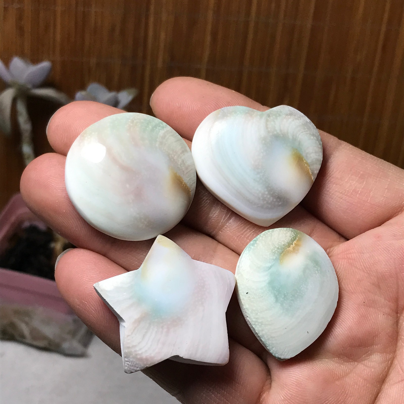 4Pcs Natural sun shell star Heart Reiki Shiva Eye ocean quartz carve A3334