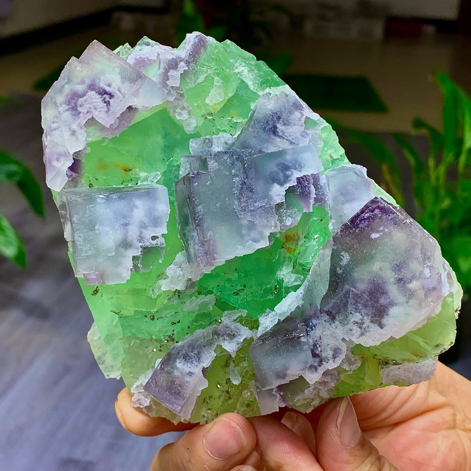 1.7LB Rare transparent green purple cubic Zhejiang fluorite mineral sample