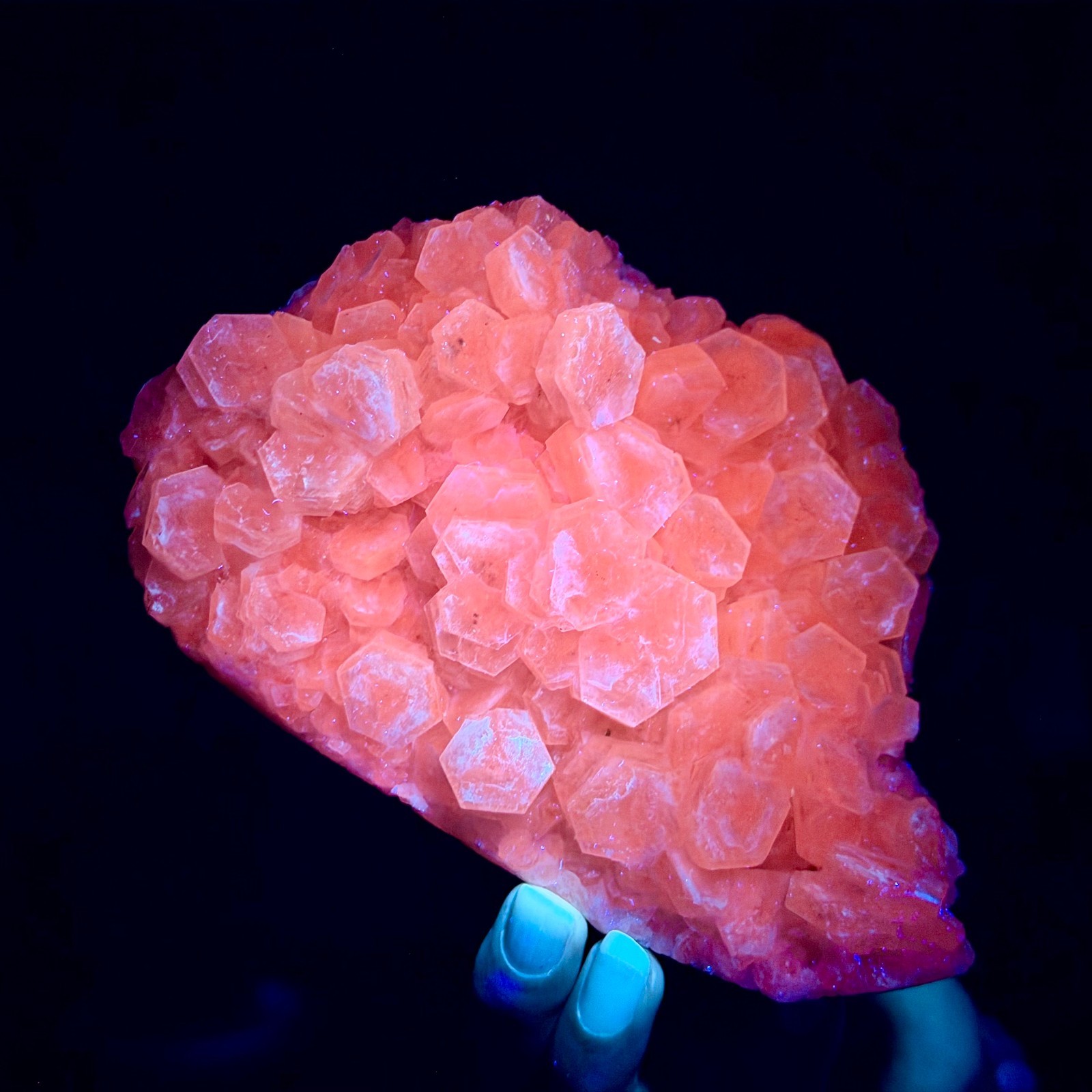 2.20LB Natural String of Copper Coins Calcite/Fluorescent Glow Under UV Light