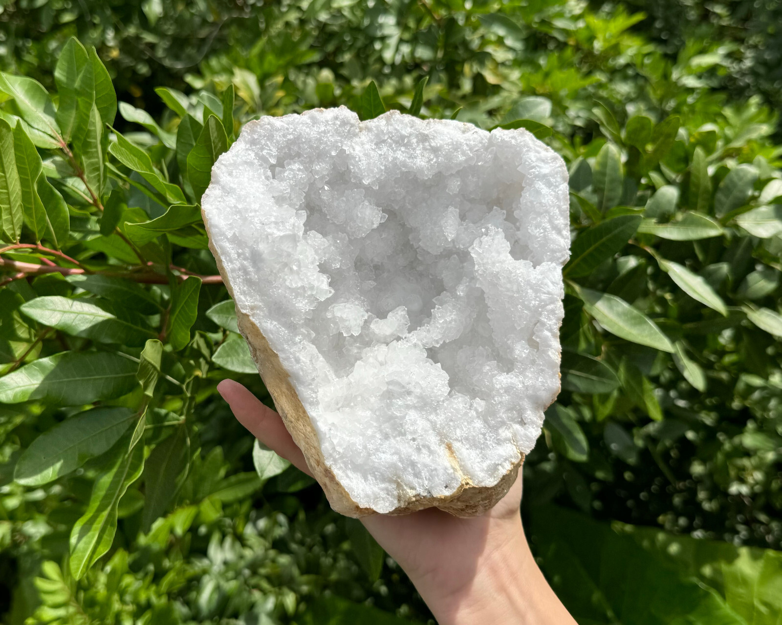 MASSIVE Sugar Quartz Geodes – Natural Crystal Geode Specimens From Morocco
