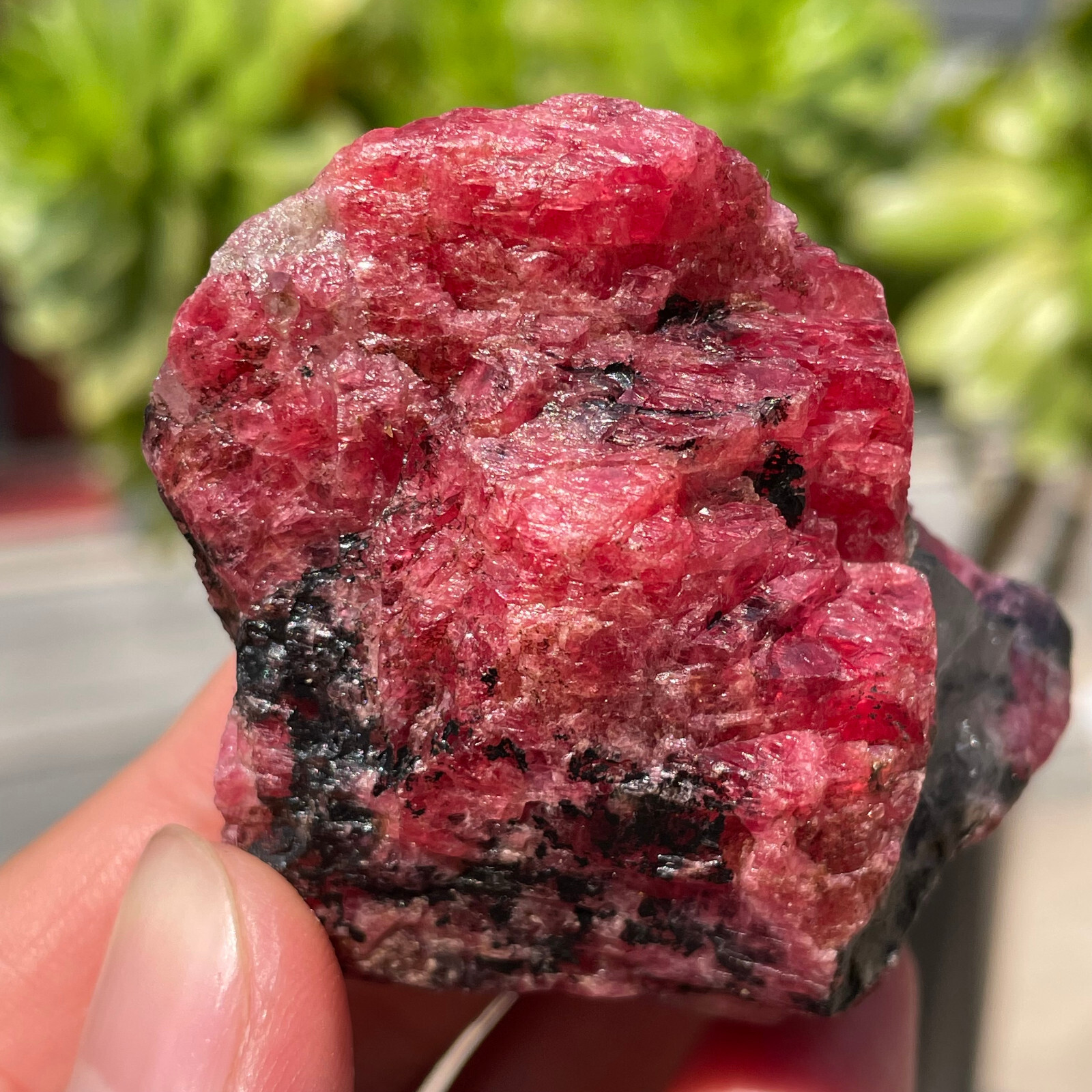 91g Small Rough Stone Natural Red Black Rhodonite Quartz Crystal Specimen