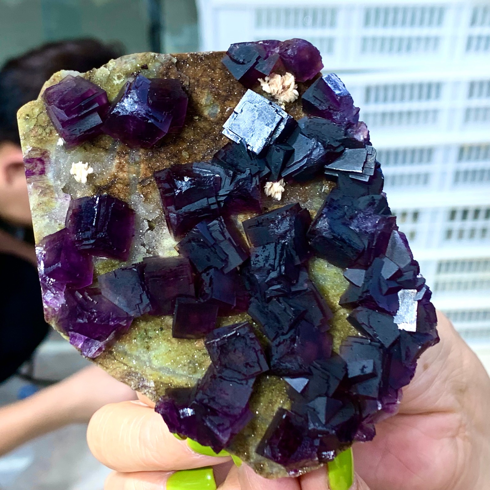 331G Rare Purple cubic fluorite mineral crystal sample/Zhejiang