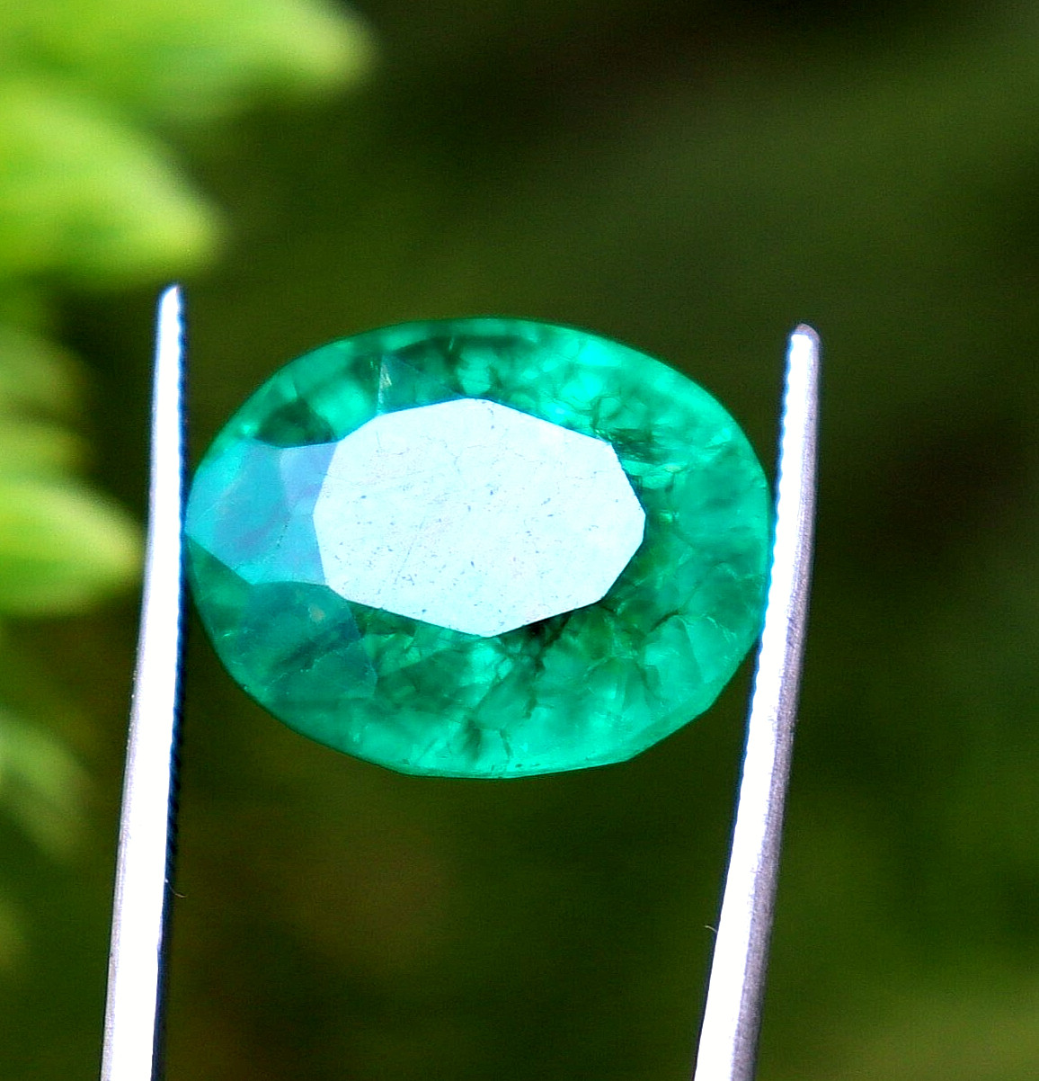 Green Emerald Certified Natural Colombian Oval Cut Loose Gemstone 10.55 Ct
