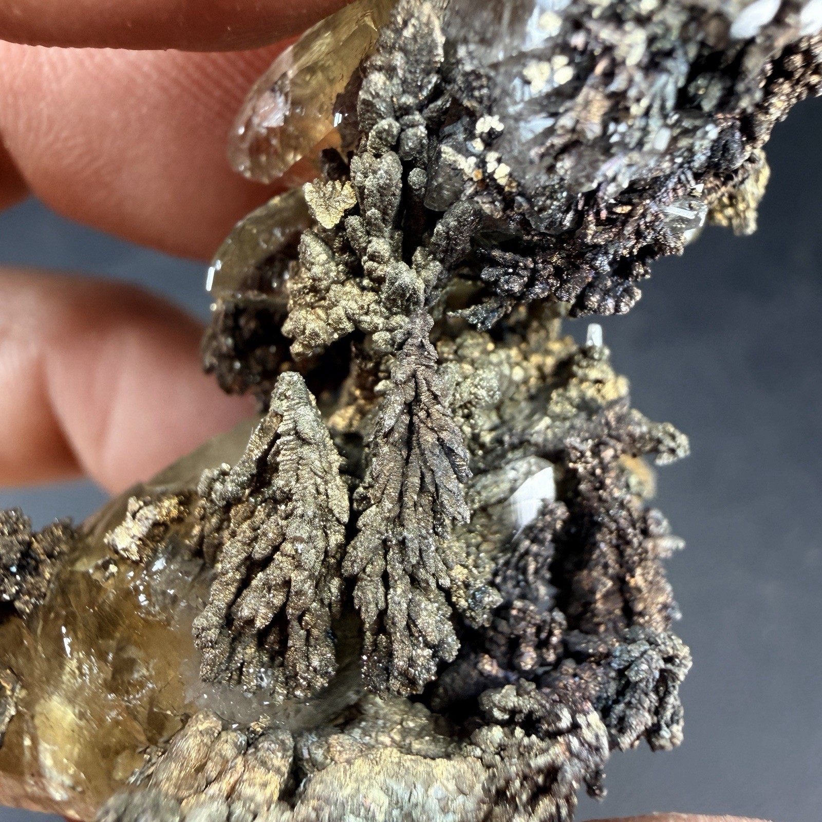 Golden Calcite Flower Chalcopyrite Crystal Combo / Sweetwater Mine *Video*