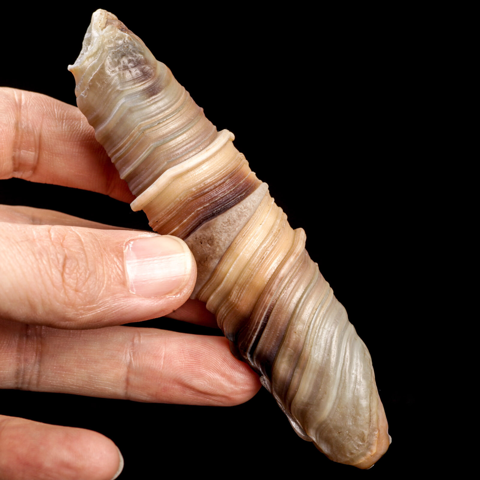 74g110mm Rare NATURAL Agate Mineral Specimen Point Wand Healing From Zambia