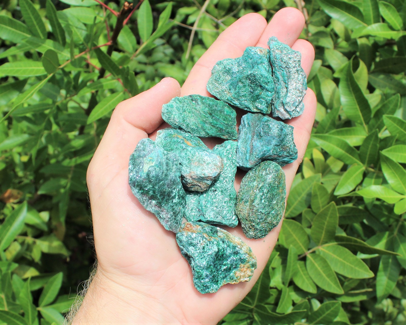 Fuchsite Natural Rough Stone Gift Box: 10 – 16 Pieces (Raw Fuchsite Crystals)