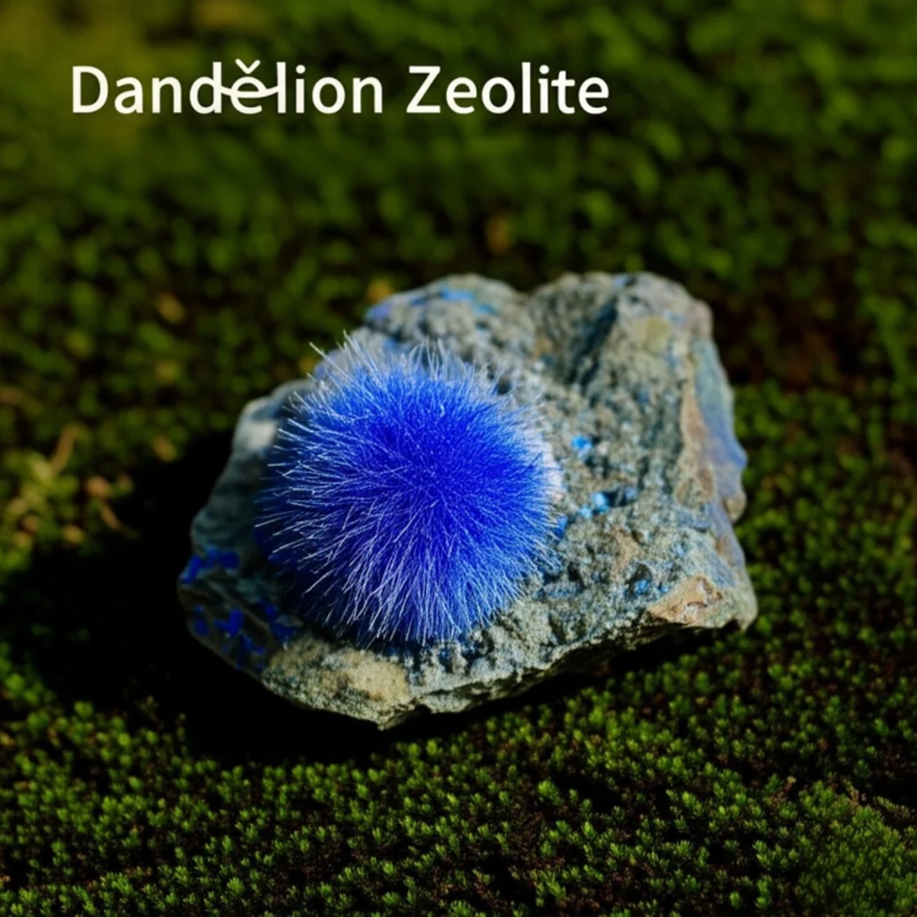 Rare Indian Dandelion Zeolite Cluster Titanium Geode Quartz Crystal Specimen 1pc