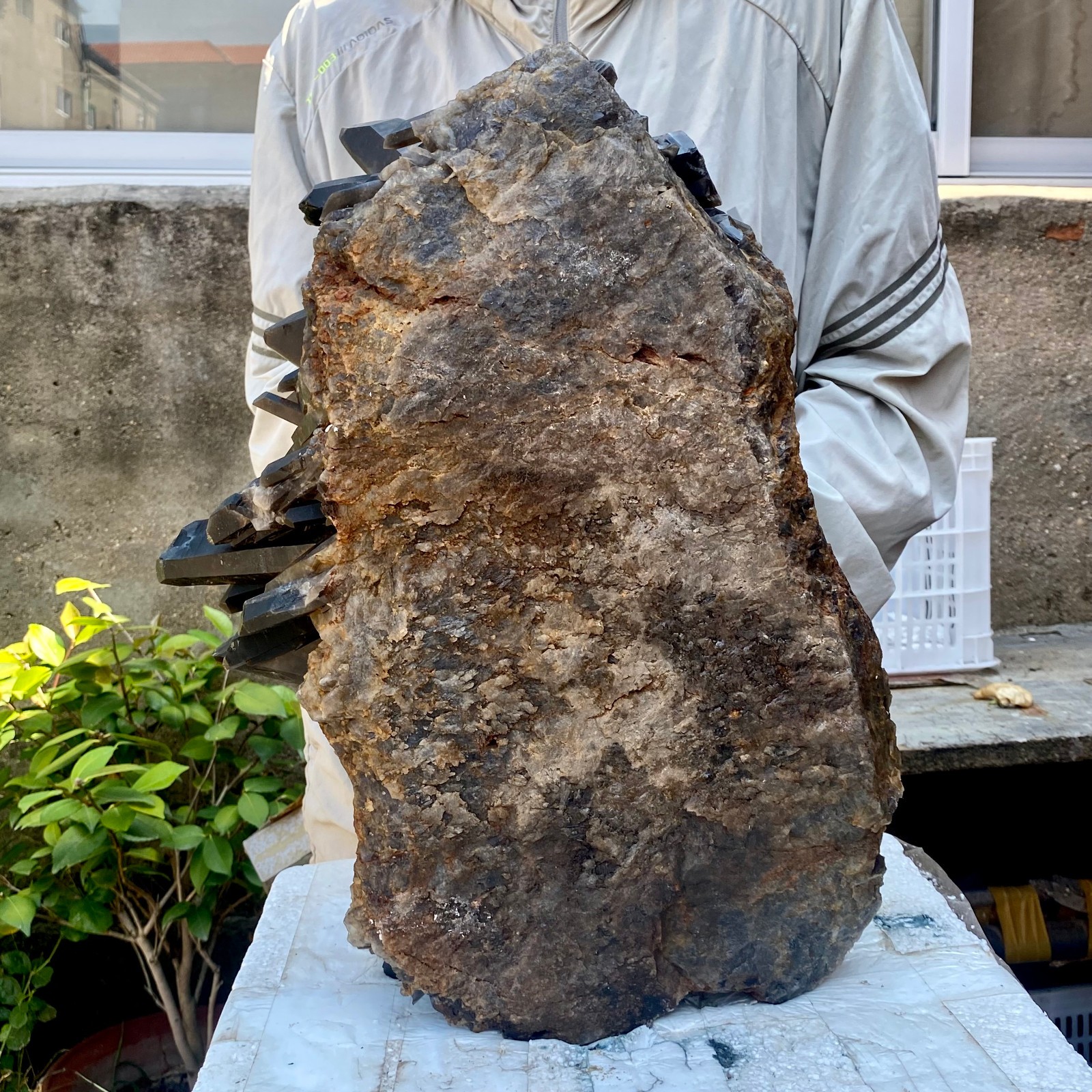 57LB Tea black Crystal quartz Cluster Mineral Specimen Healing reiki