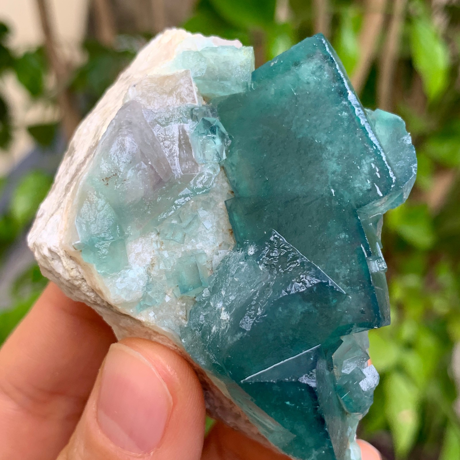 146G NATURAL Cubic Green FLUORITE Quartz Crystal Mineral Specimen Healin