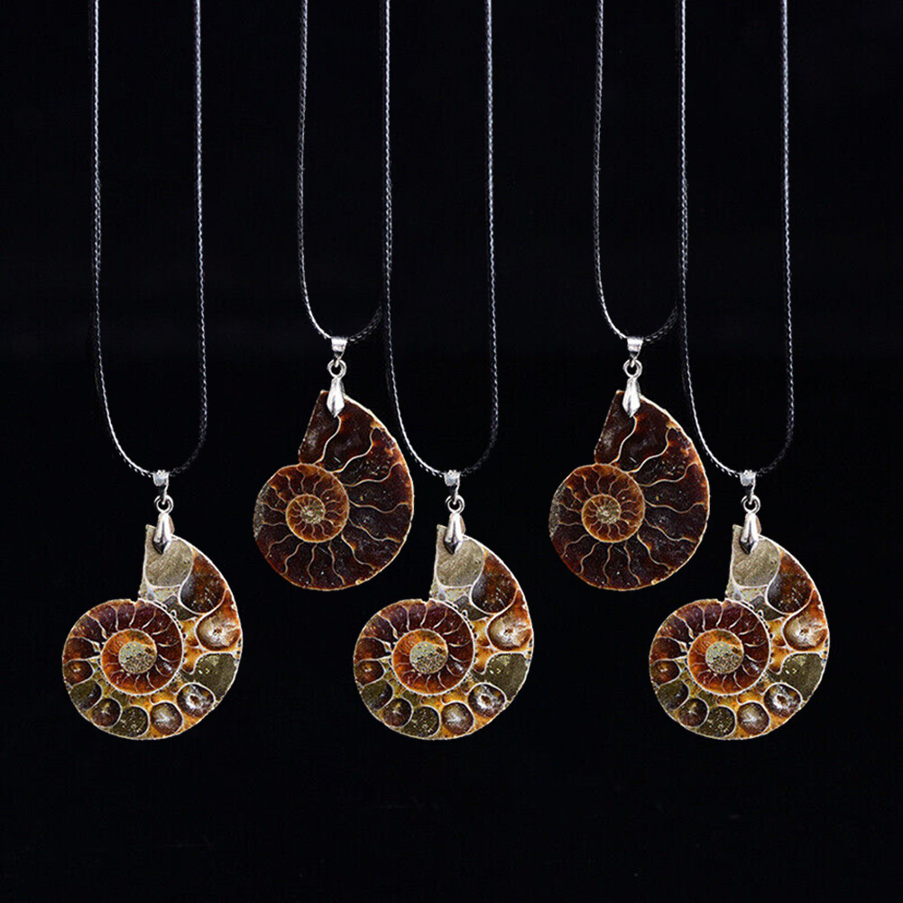 5Pcs Natural Conch Fossil Quartz Energy Stone crystal Healing Pendant Necklace