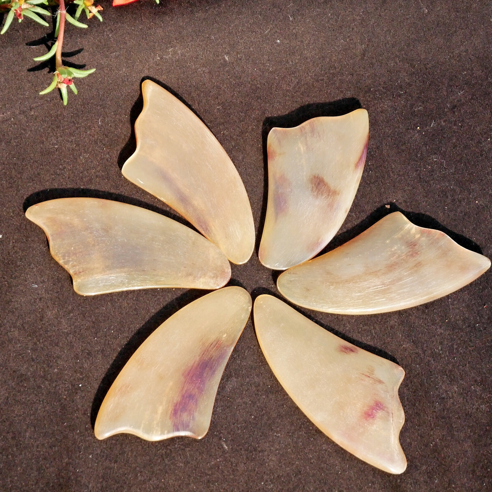 3.6″ Ox Horn Gua Sha Plate Natural Traditional Medicine Tool Facial Body Massage