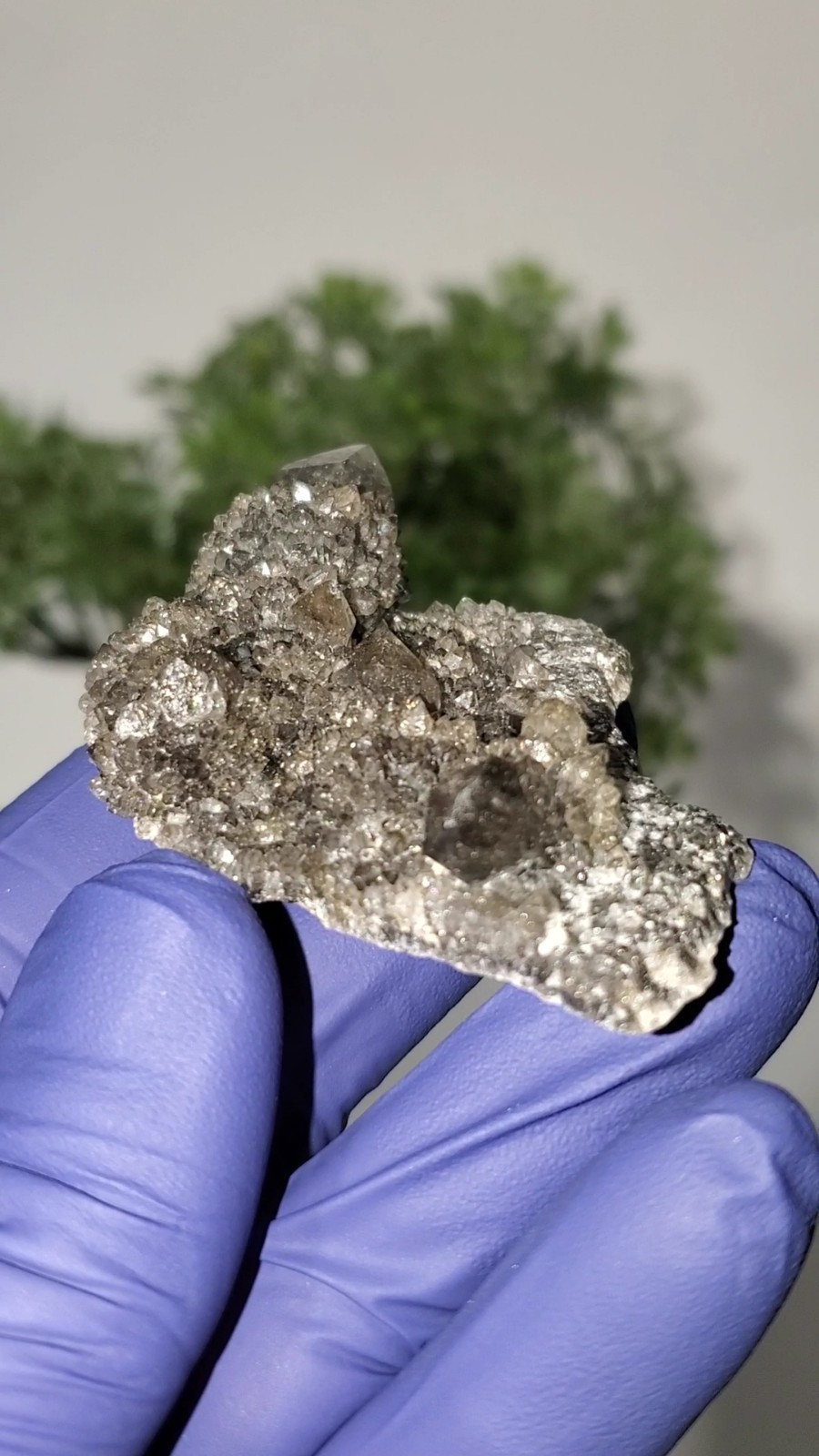 Black Spirit Quartz Cluster Specimen (Fairy Quartz) South Africa 34g