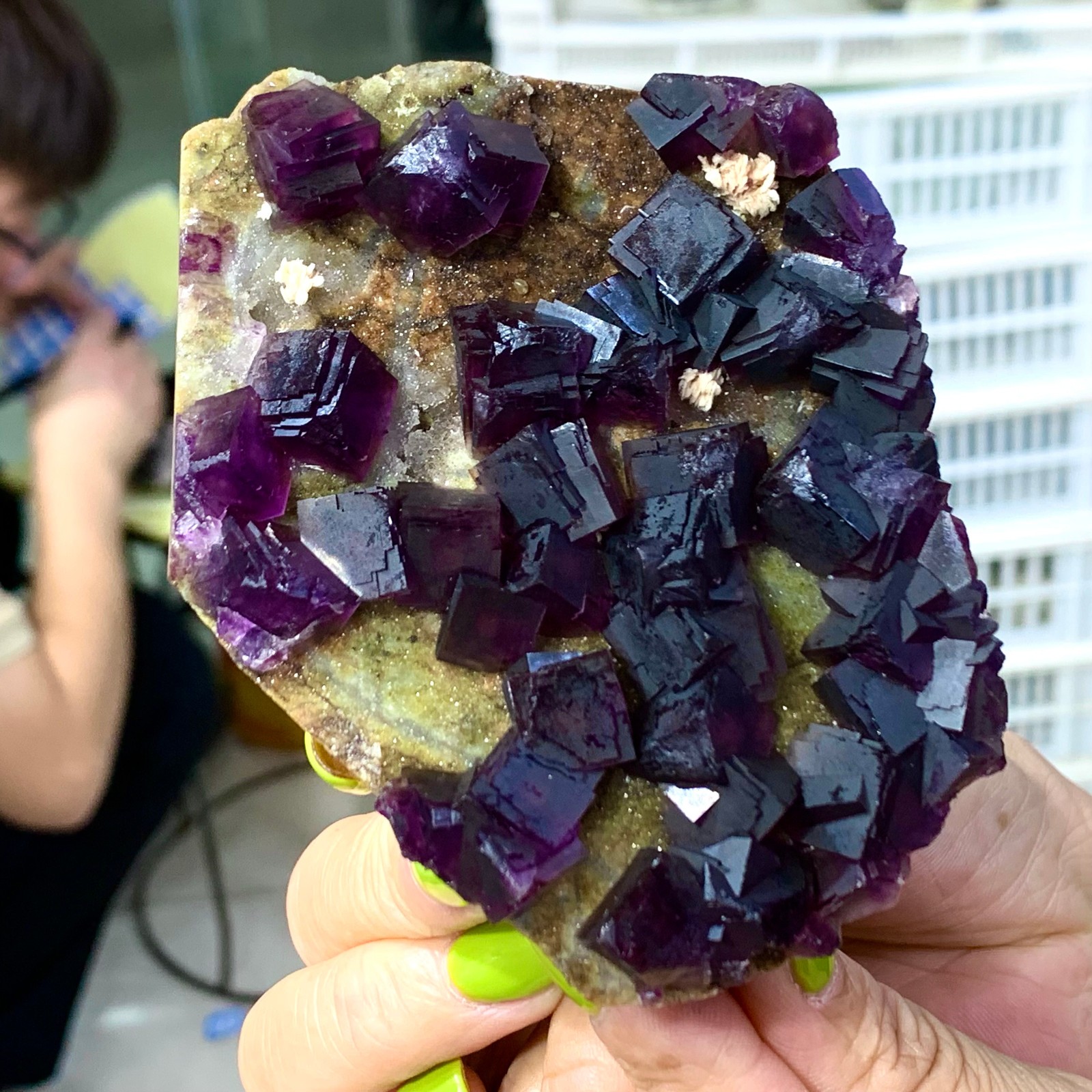 331G Rare Purple cubic fluorite mineral crystal sample/Zhejiang