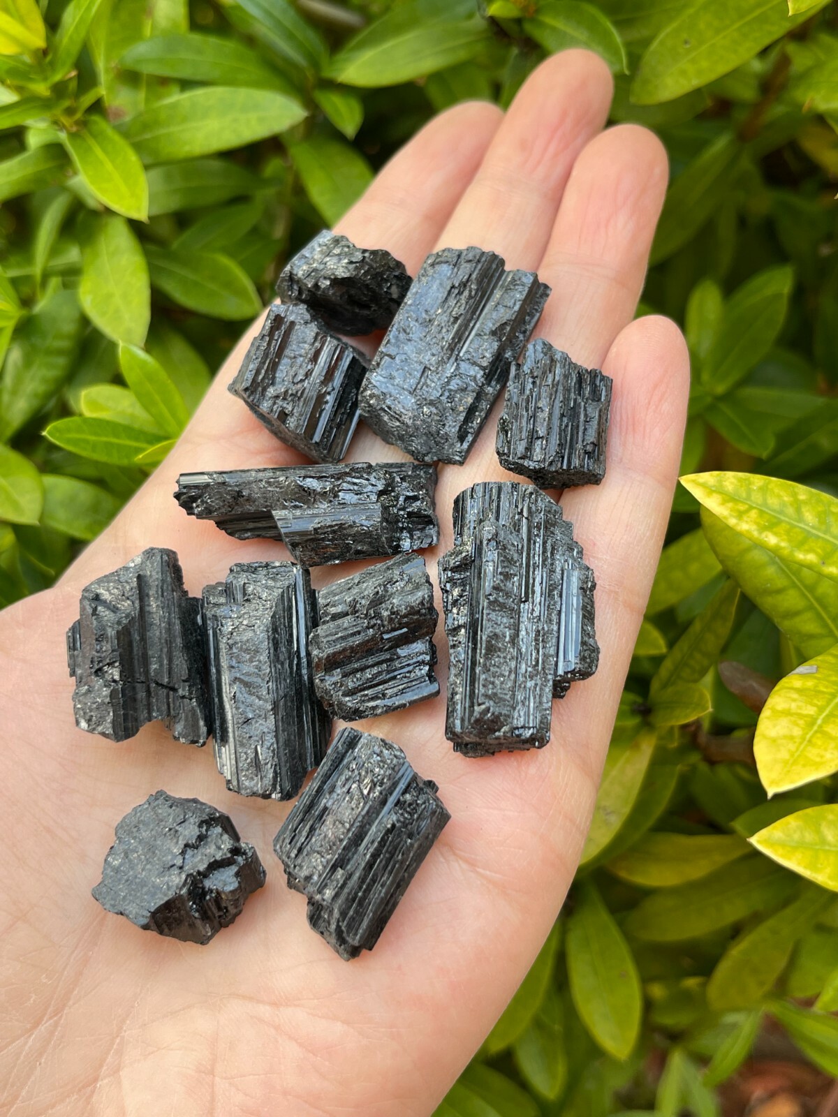 Grade A++ Black Tourmaline Small Raw Natural Stone 0.5″ – 1.25″, Wholesale Bulk