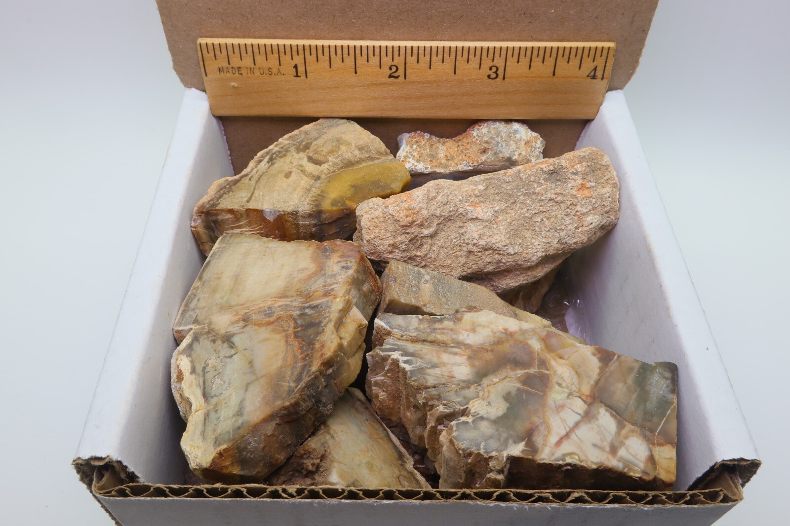 Petrified Wood 1 Lb Rough Natural Stones Bulk Wholesale Raw Mineral Specimens