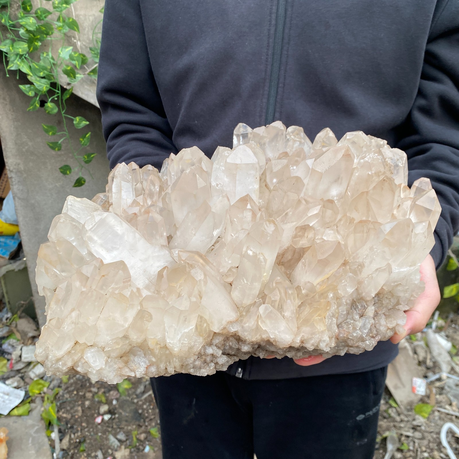 29.8LB Natural Clear White Crystal Quartz Cluster Rough Healing Specimen