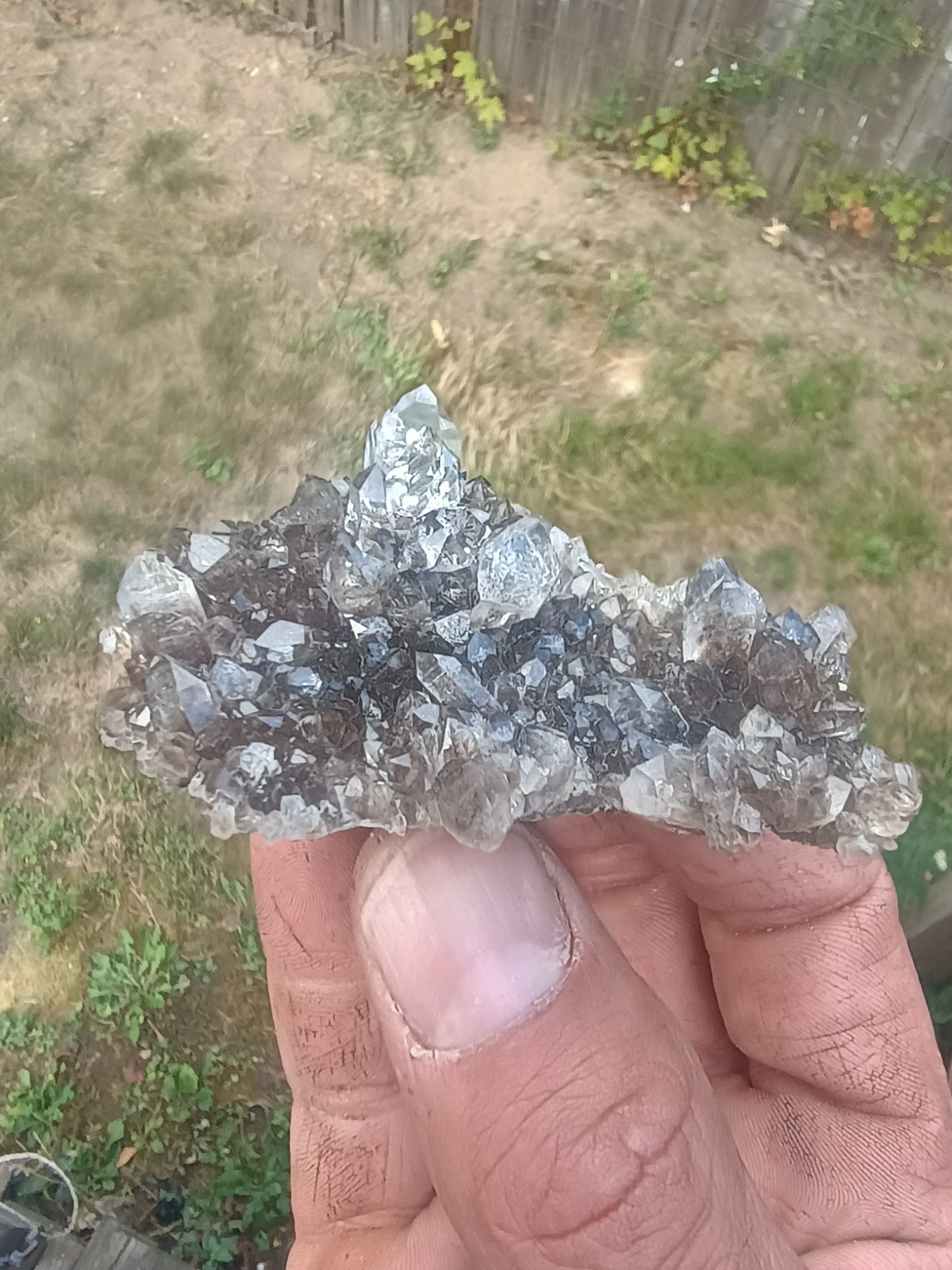 Herkimer 💎Perchers On 🖤 Smokey Druze Plate (Rare Piece) Miner Direct ⚒️