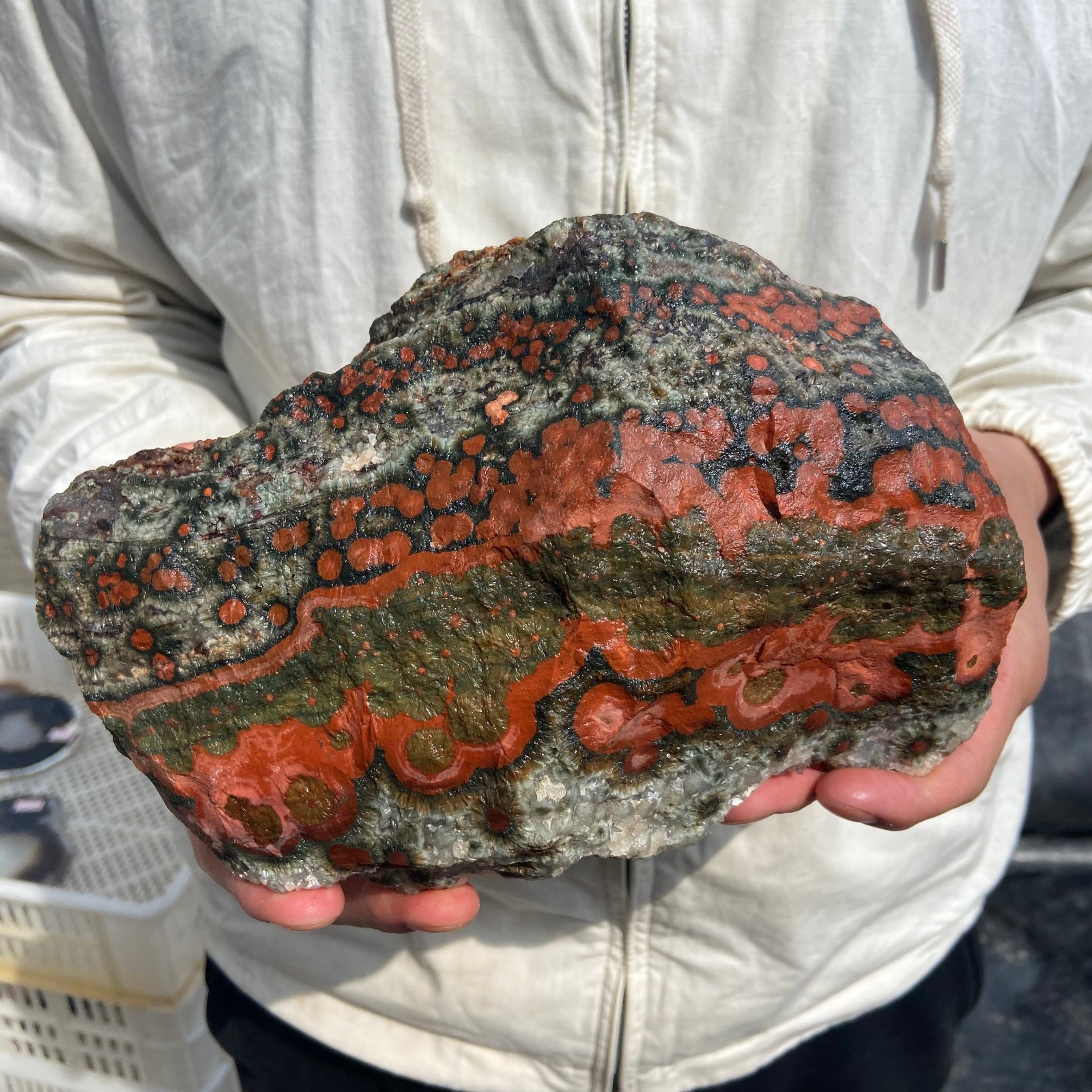 8lb Rare Natural colourful ocean jasper quartz crystal rough mineral specimen