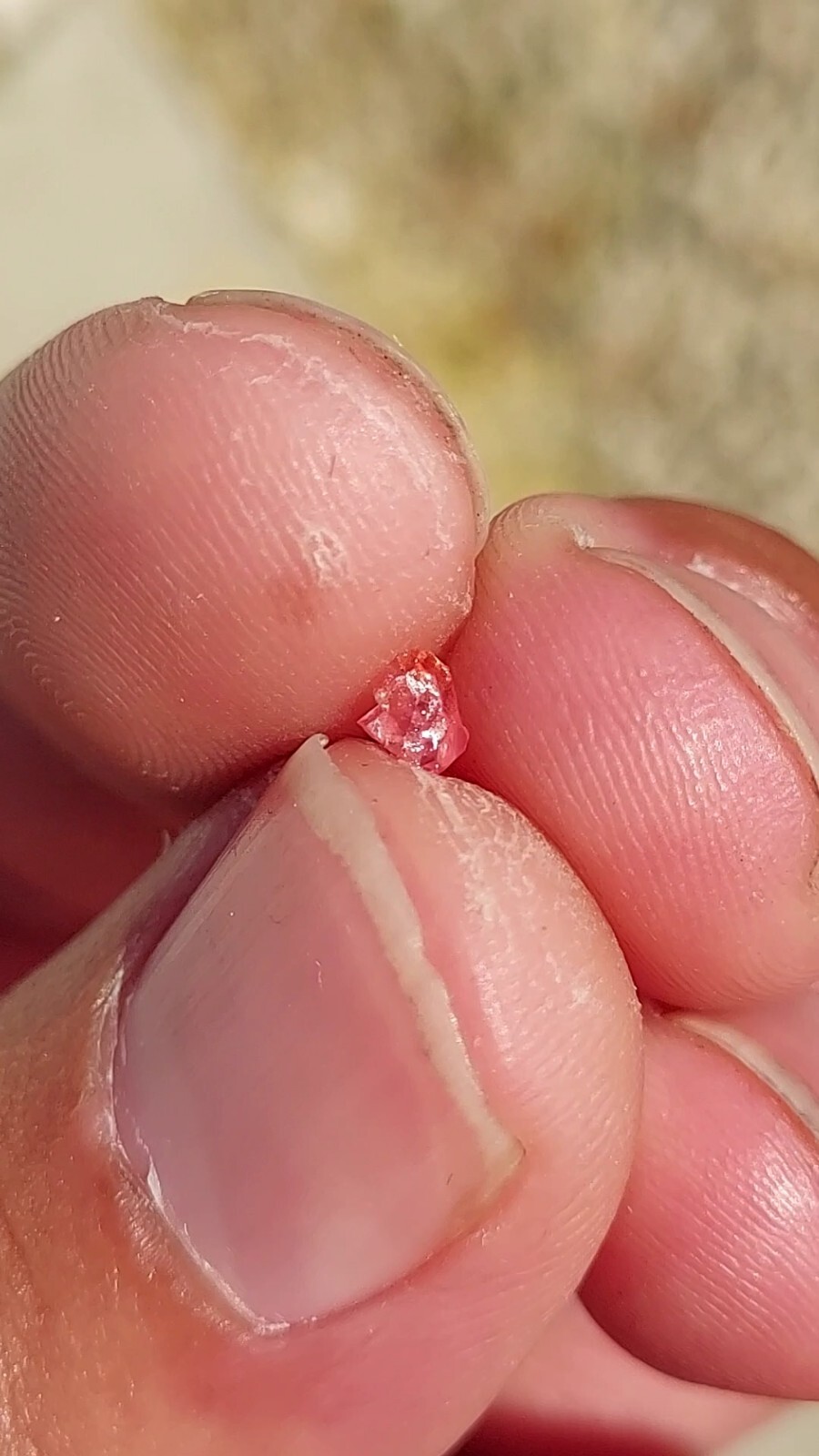 ULTRA GEM RHODOCHROSITE N’Chwaning II Mine, KMF, South Africa