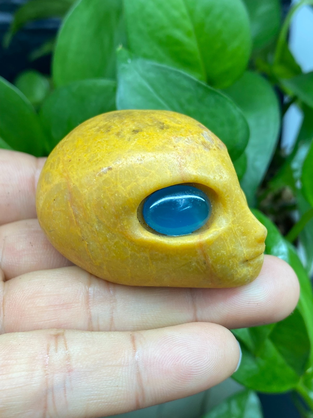 1pc Natural Yellow jade Quartz Carved Alien Skull Crystal Reiki Healing Gem Gift