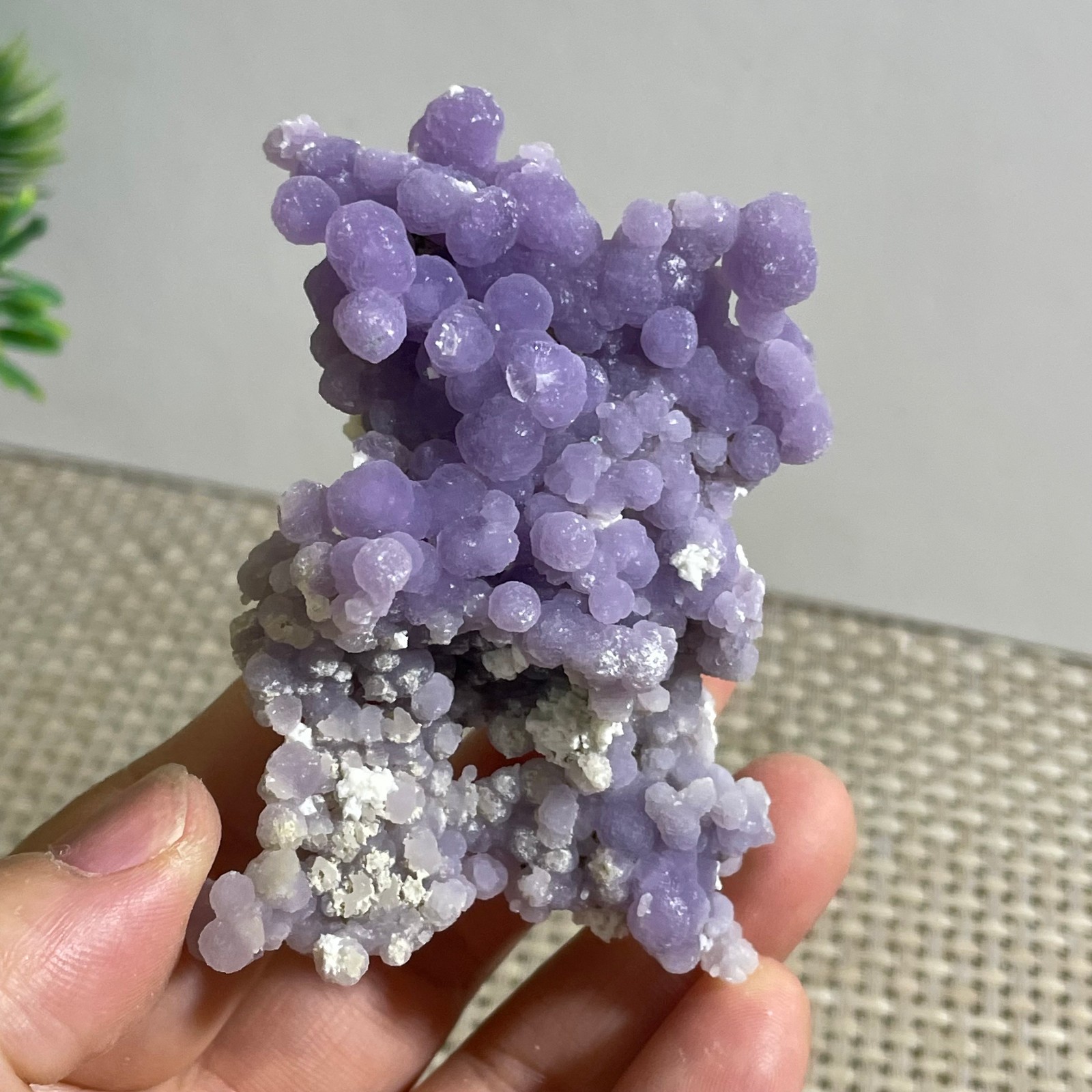50g Purple stone, grape agate, quartz crystal, granular mineral