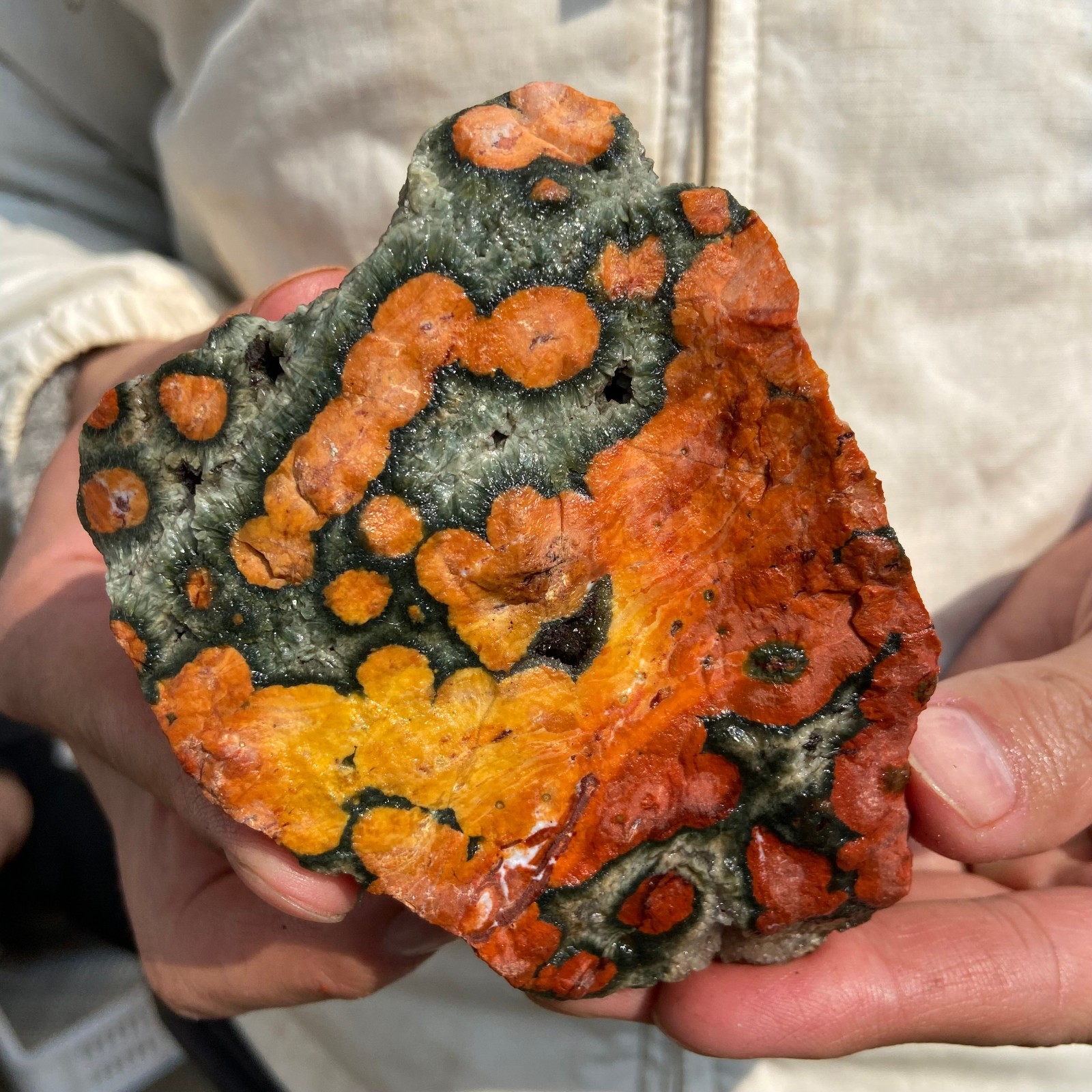 1lb Natural colourful ocean jasper raw stone crystal rough mineral specimen