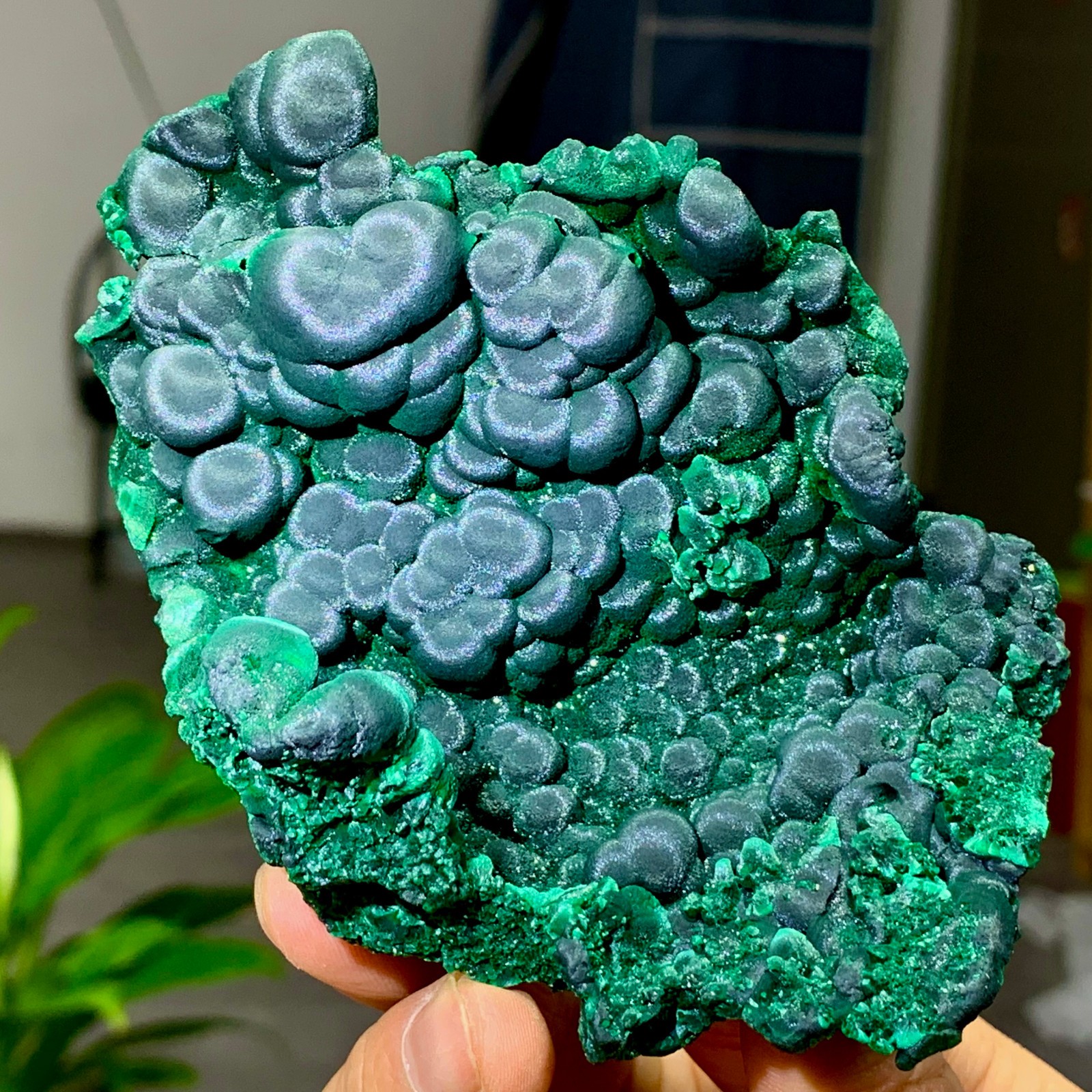 205g Natural glossy malachite cat eye transparent cluster rough mineral Sample