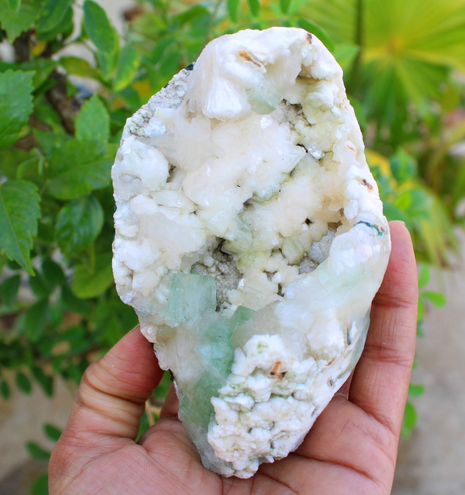GREEN APOPHYLLITE CRYSTALS w/ HEULANDITE IN GEODE MINERALS SPECIMEN #A43