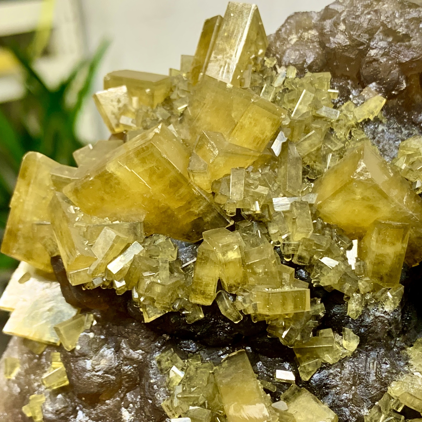 2.76LB Shiny Golden Cuboid Barite Crystal Based on the Purple Spherical Fluorite