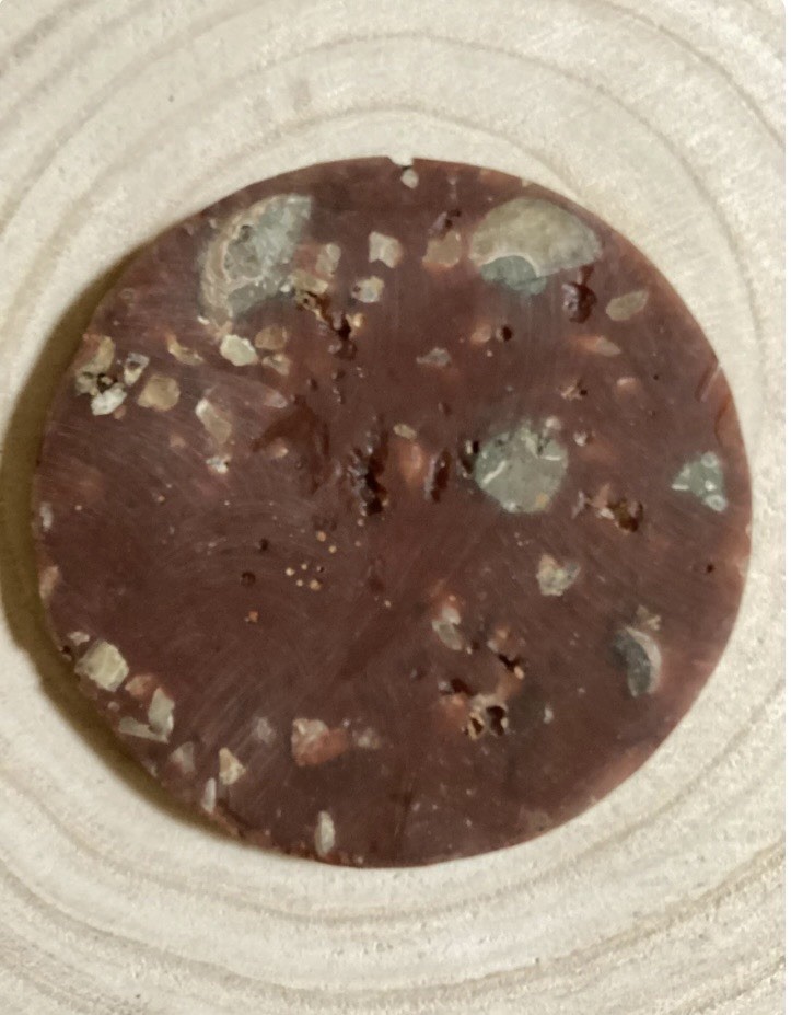 Authentic Ammonite Fossil Disc: Ammonite Crystal, Third Eye Chakra, Crown Chakra