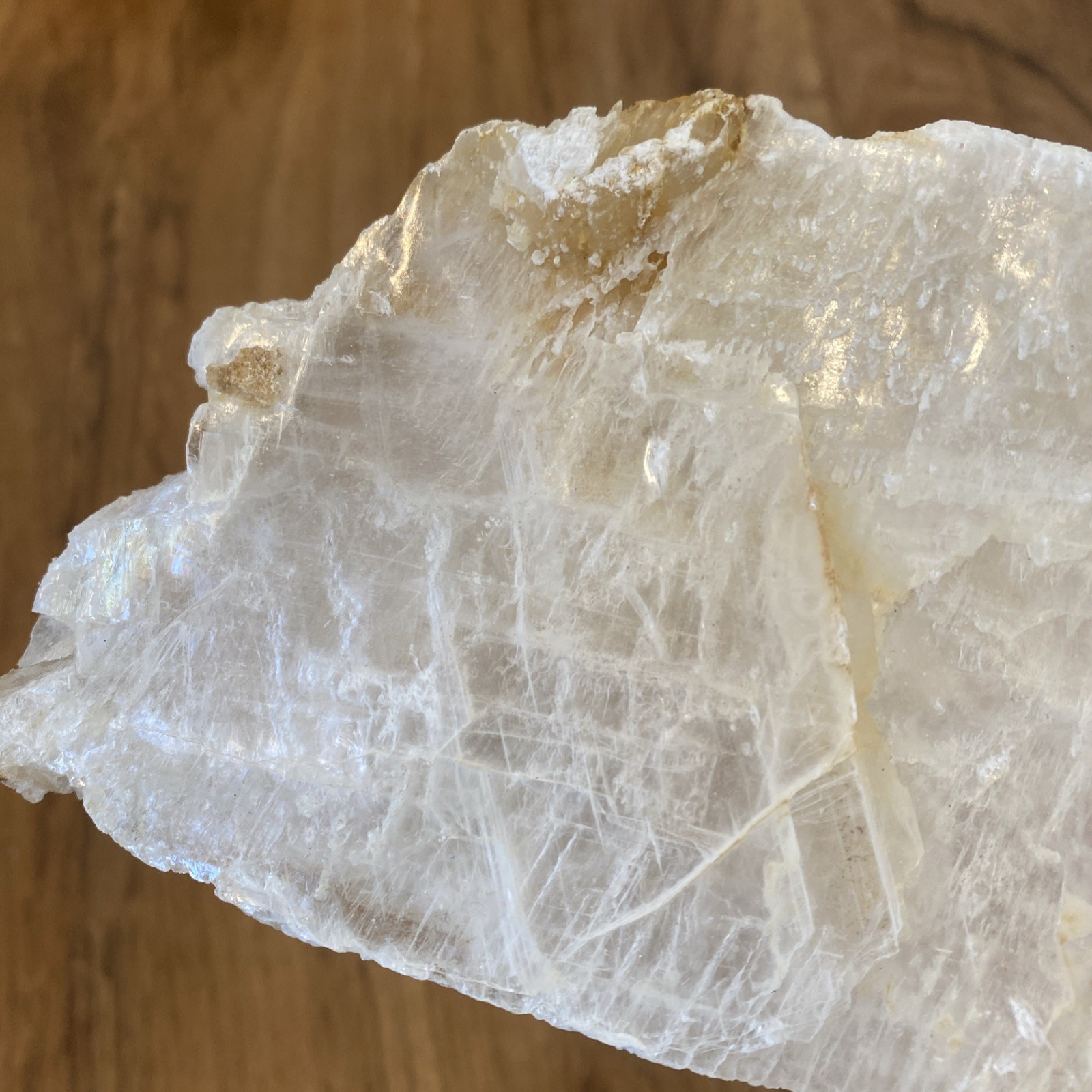 Natural selenite slab 10 inches long very soft Labeled As Selenite