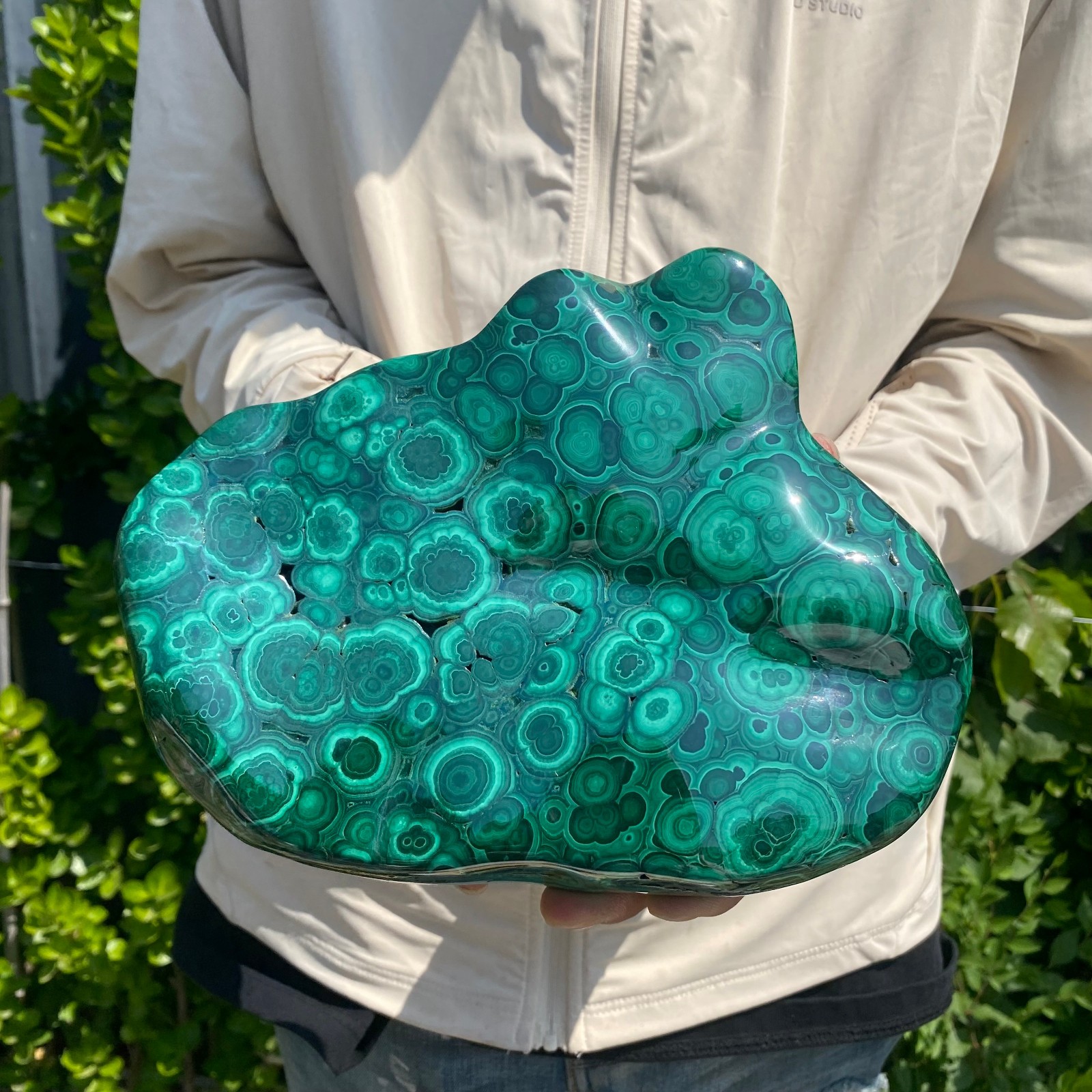 7.27LB Natural glossy Malachite transparent cluster rough mineral sample