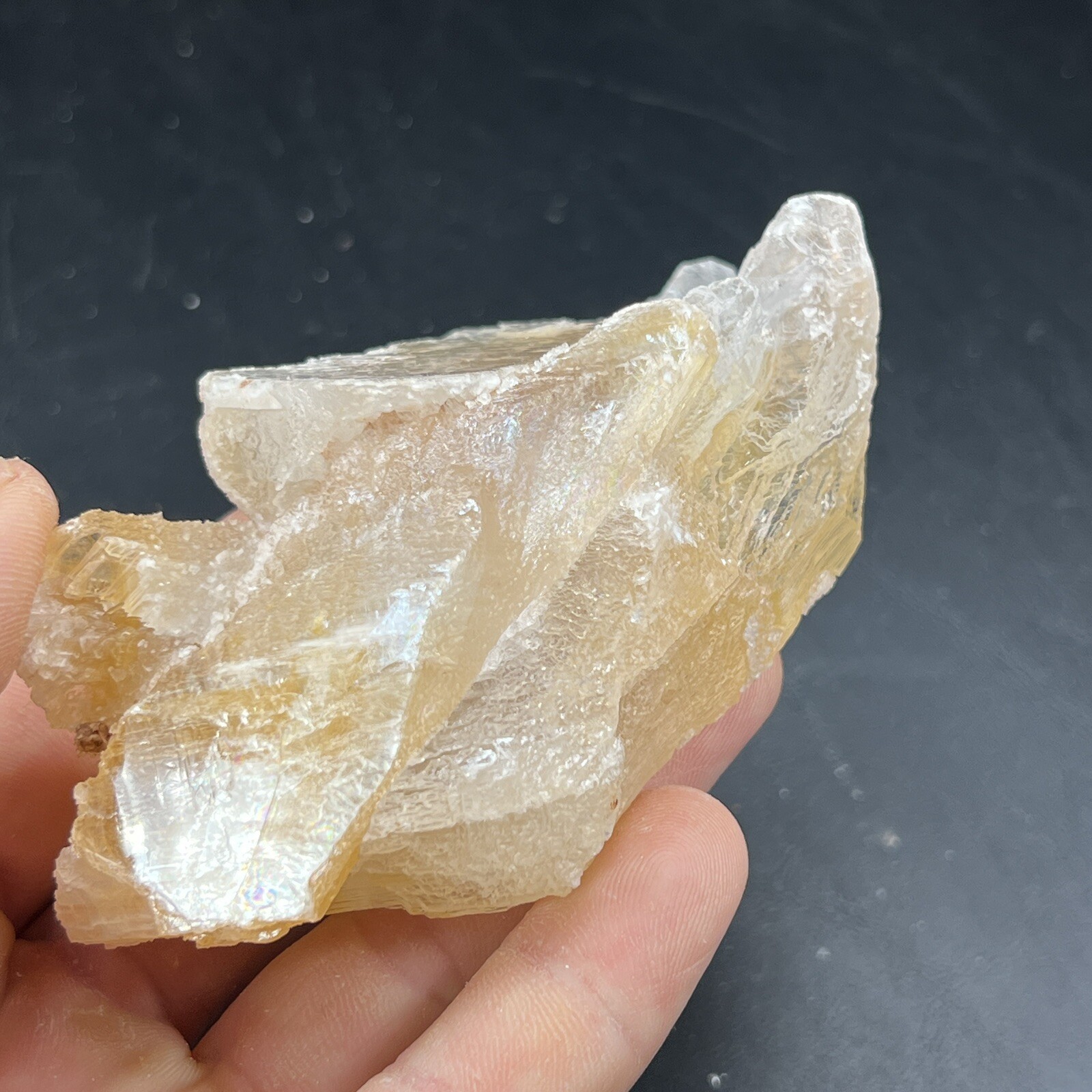 Golden Phantom Selenite Cluster aka: Gypsum | Utah