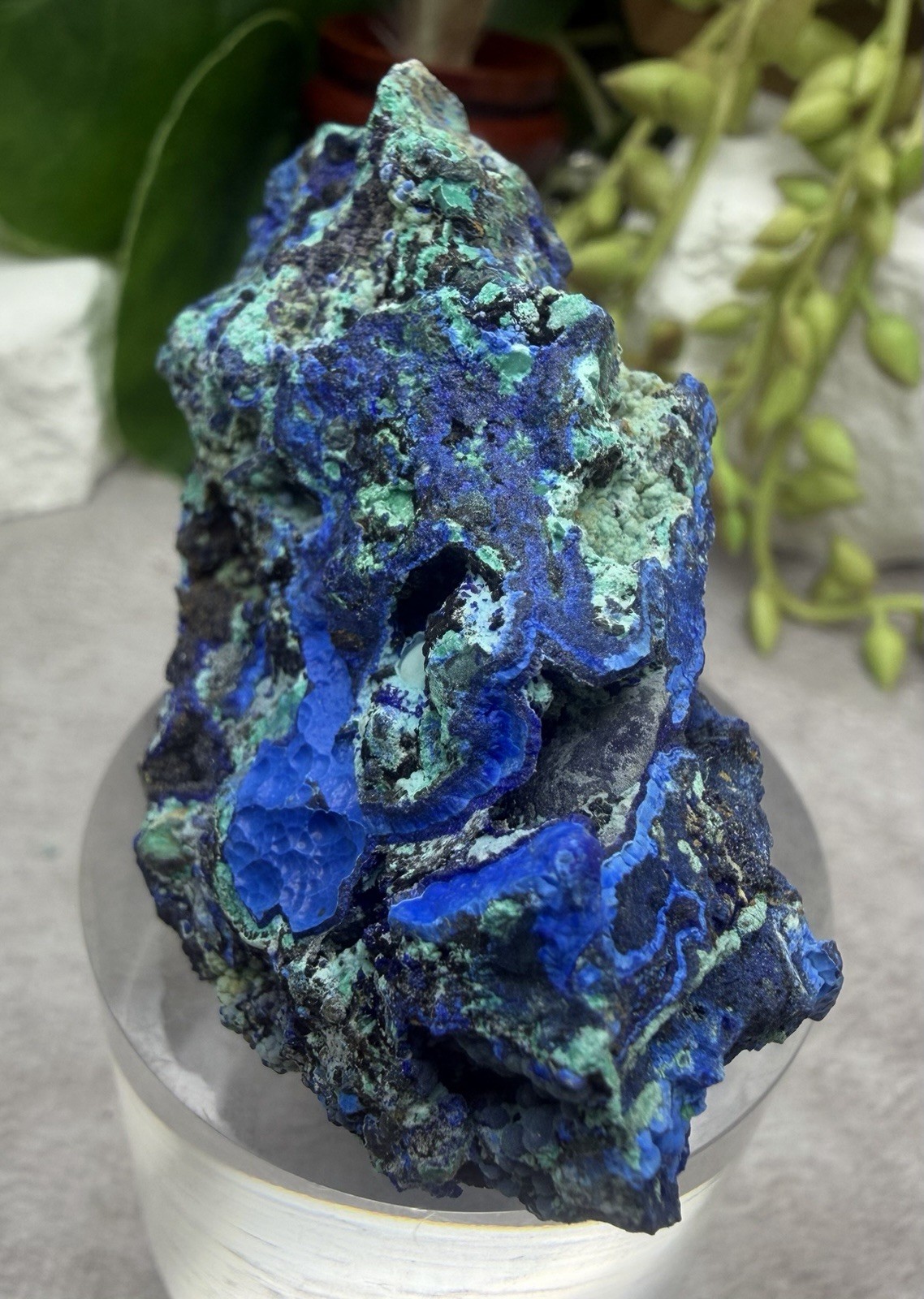 Crystal 76g Azurite & Malachite Cluster Specimen Mineral Raw Druzy Sparkle