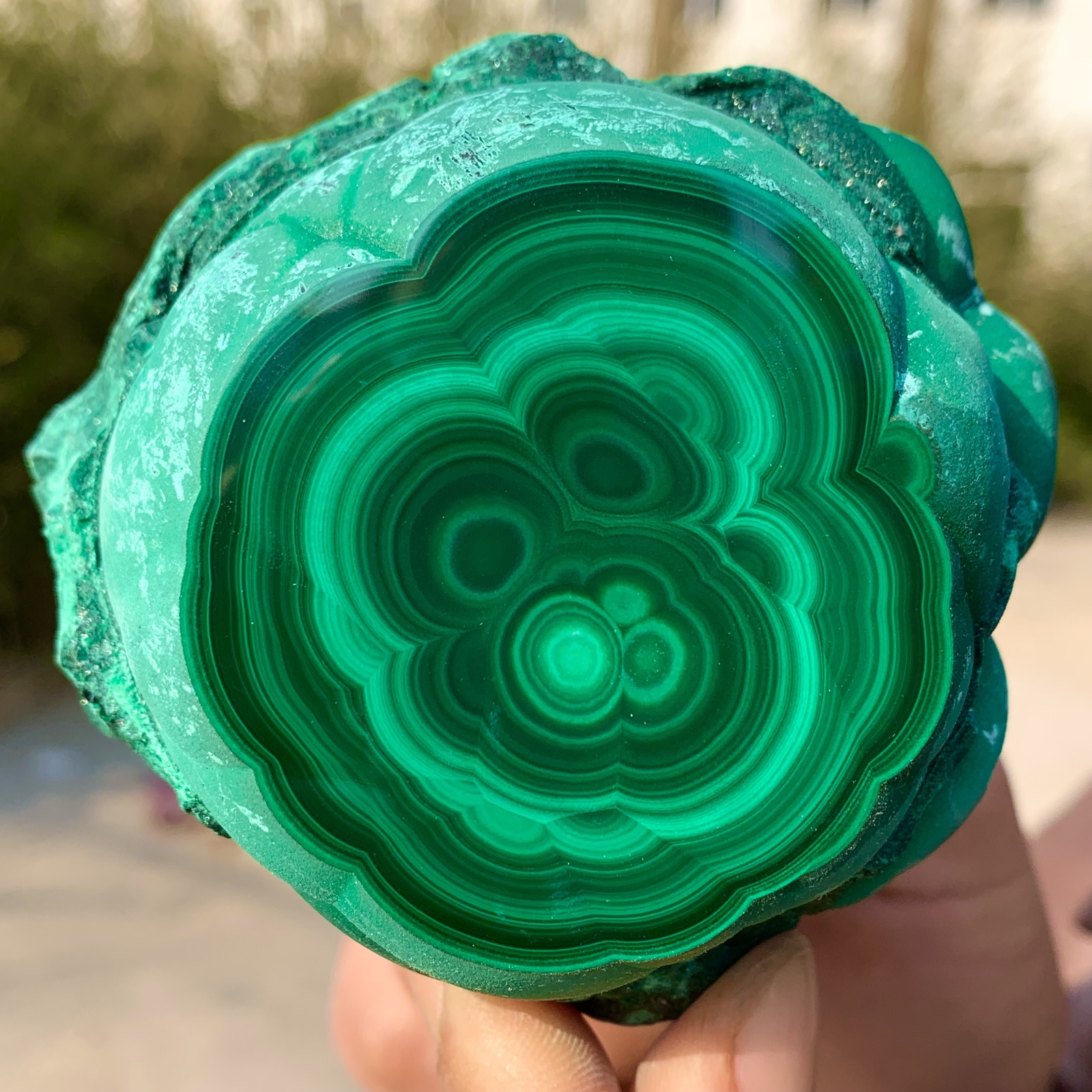1.39LB Natural glossy Malachite transparent cluster rough mineral sample