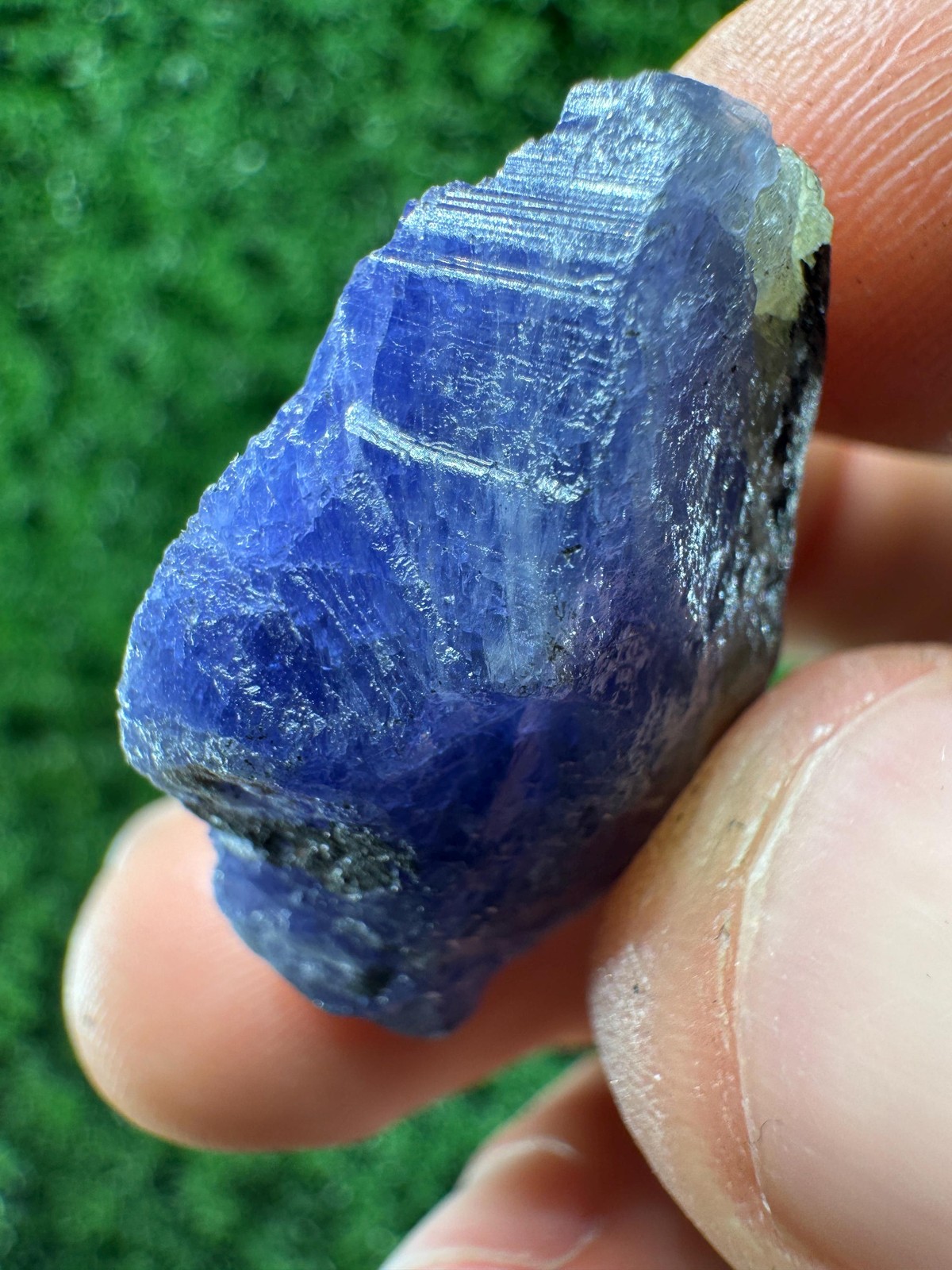 Lovely TANZANITE Crystal with COLOR CHANGE under yellow/white light / N370