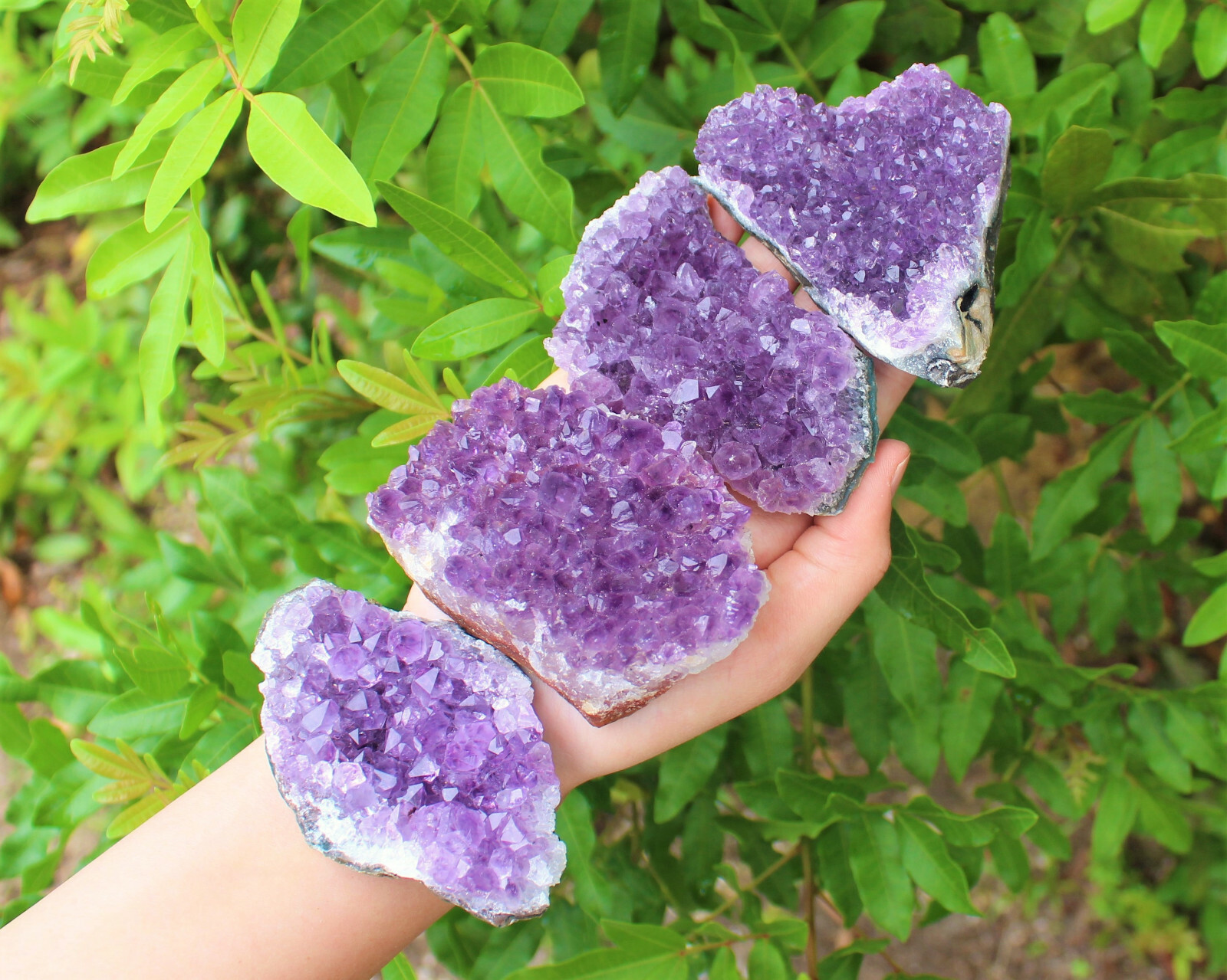 Amethyst Geode Druzy Crystal Quartz Cluster Natural Specimen: You Choose Size!