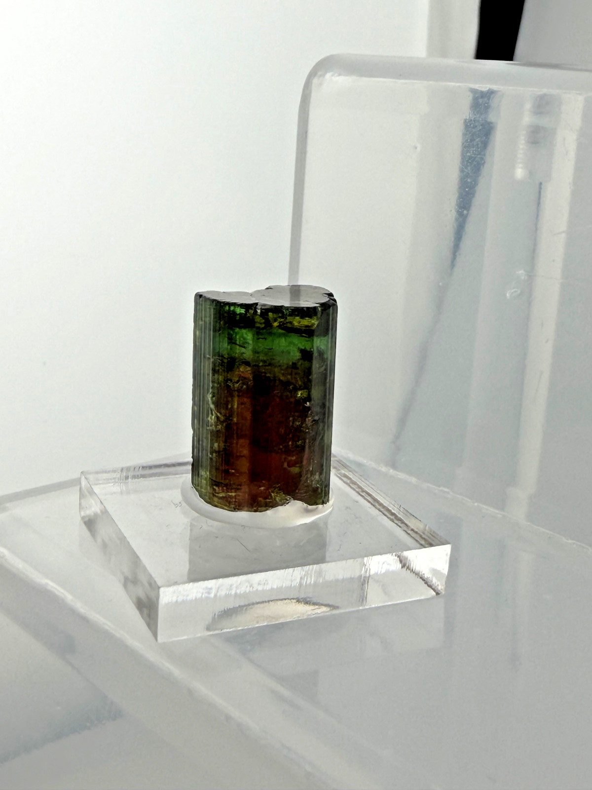 Cruzeiro Mine, Minas Gerais Brazil 9.8gm Watermelon Tourmaline