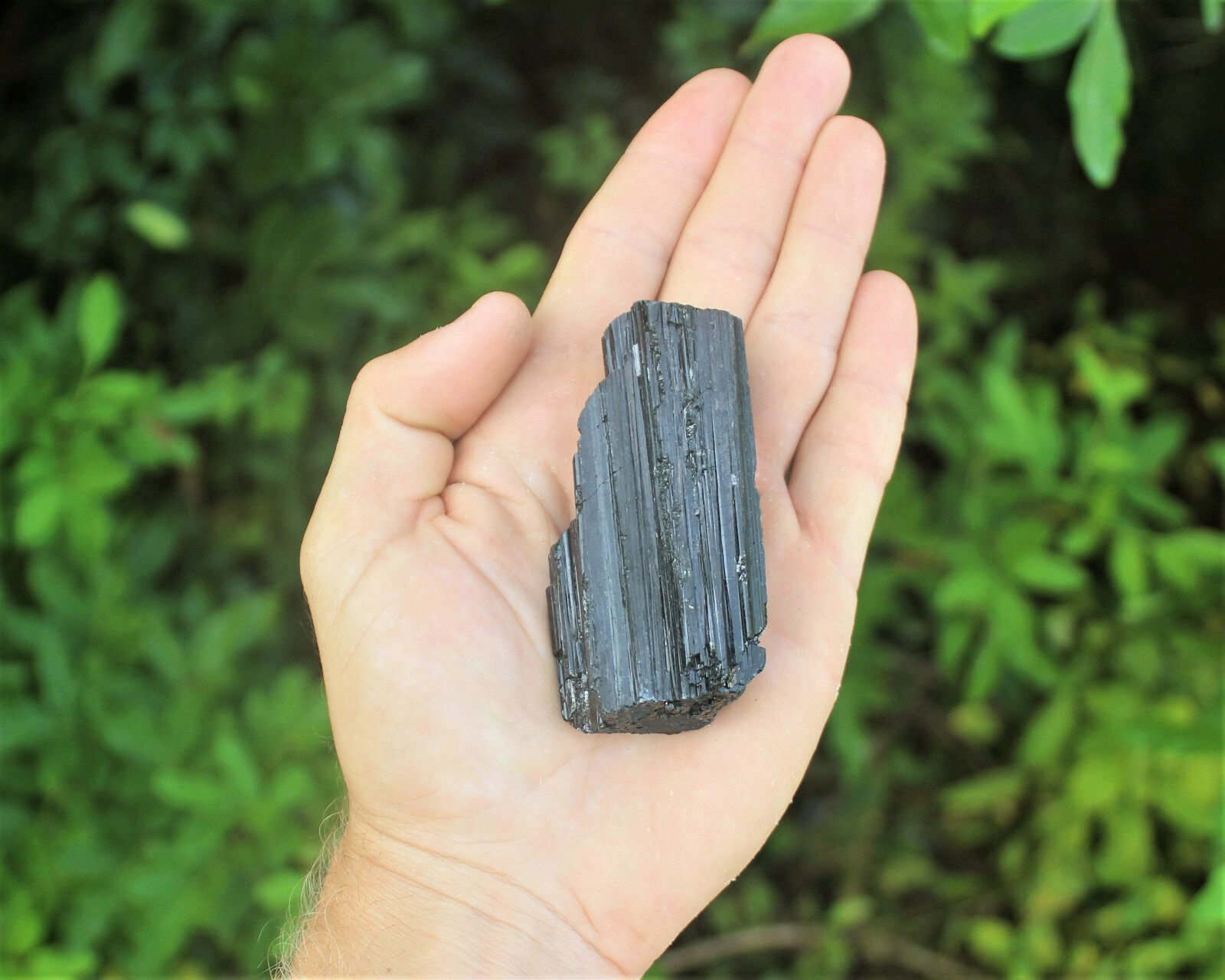 Large Black Tourmaline PREMIUM EXTRA A GRADE Shiny Rough Rod Log (3 – 4 oz)
