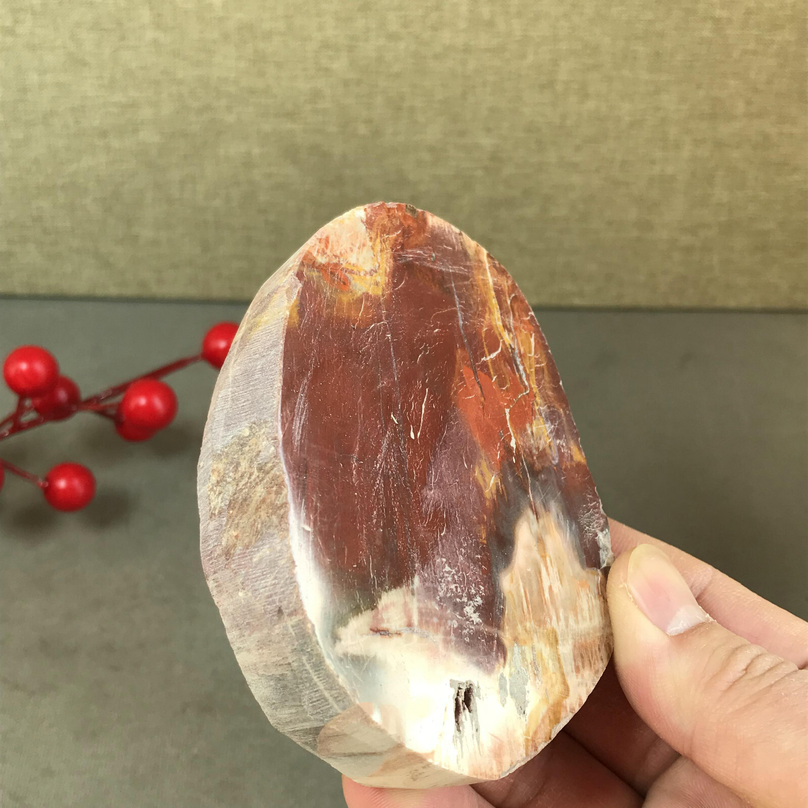 92mm natural Beautiful Petrified Wood Crystal Slice mineral specimen 266g A5424