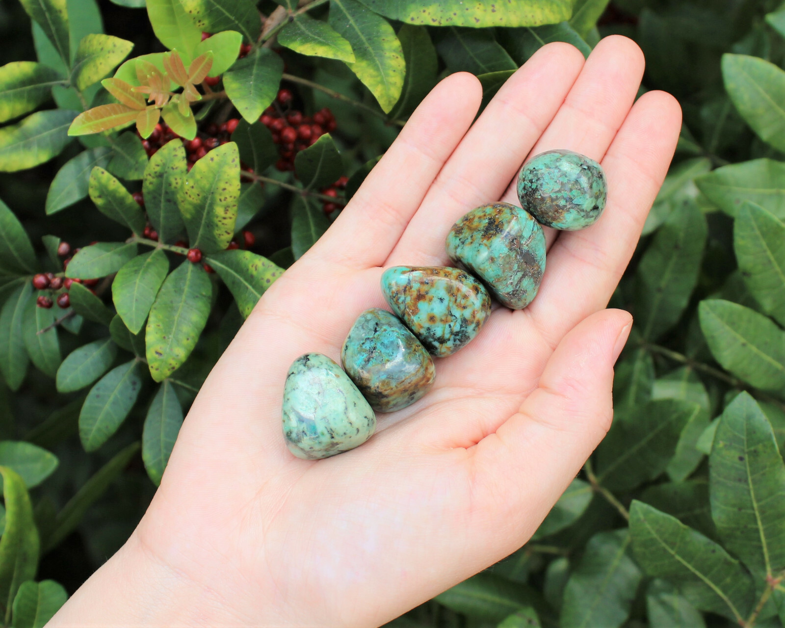 African Turquoise Tumbled Stones: Choose Ounces or lb Bulk Wholesale Lots
