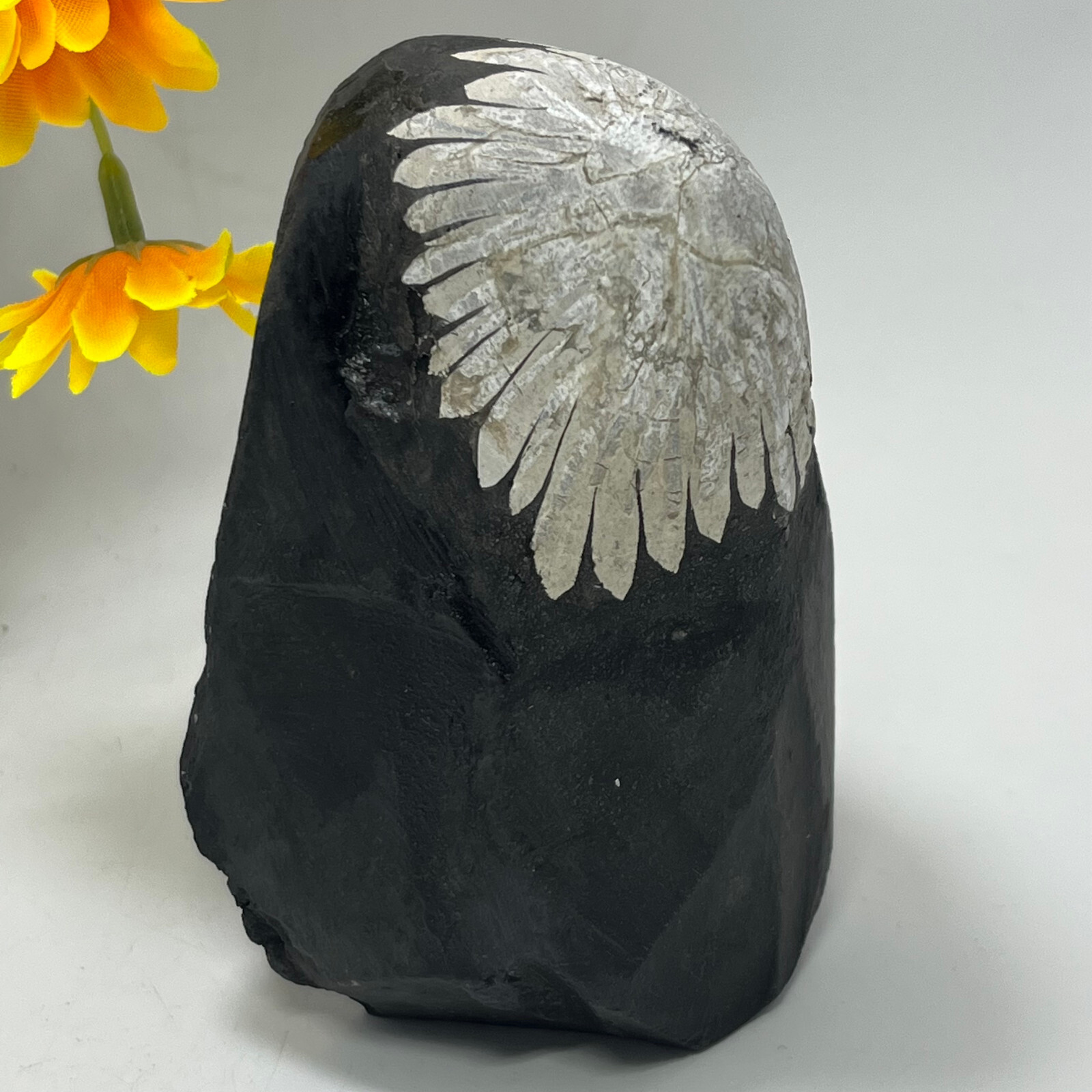 454G Natural chrysanthemum stone Crystal quartz carving aura Specimen healing