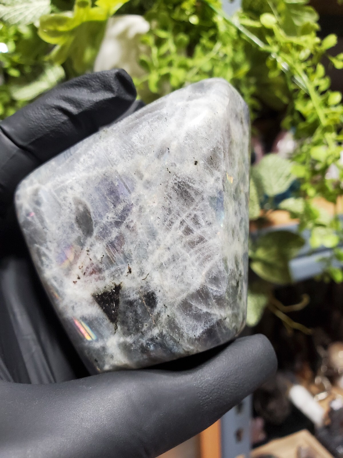 354g Natural Labradorite Quartz Crystal Freeform Mineral Specimen Healing