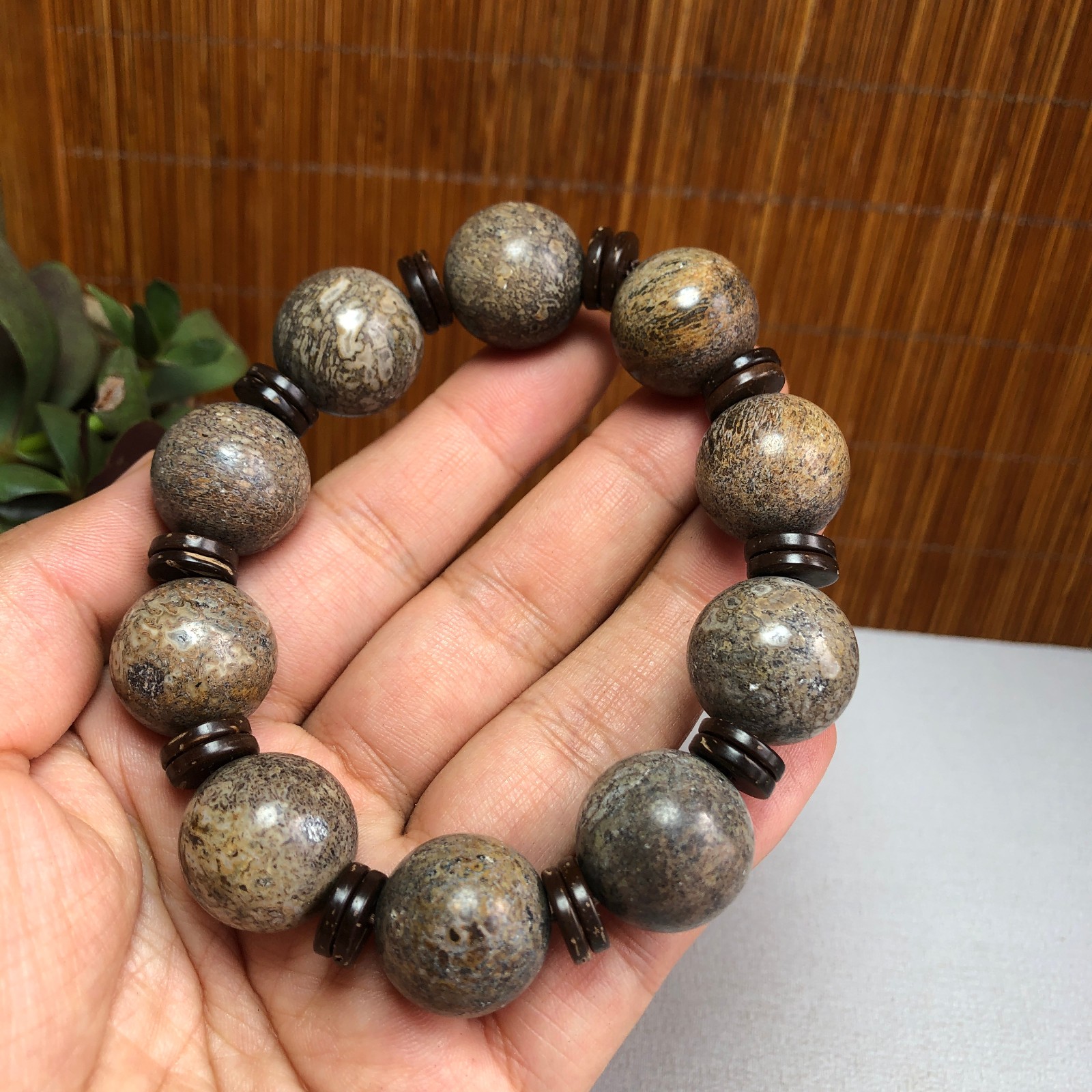 17+mm Natural dinosaur bone gemstone Crystal chain bracelet Specimen 87g A1077