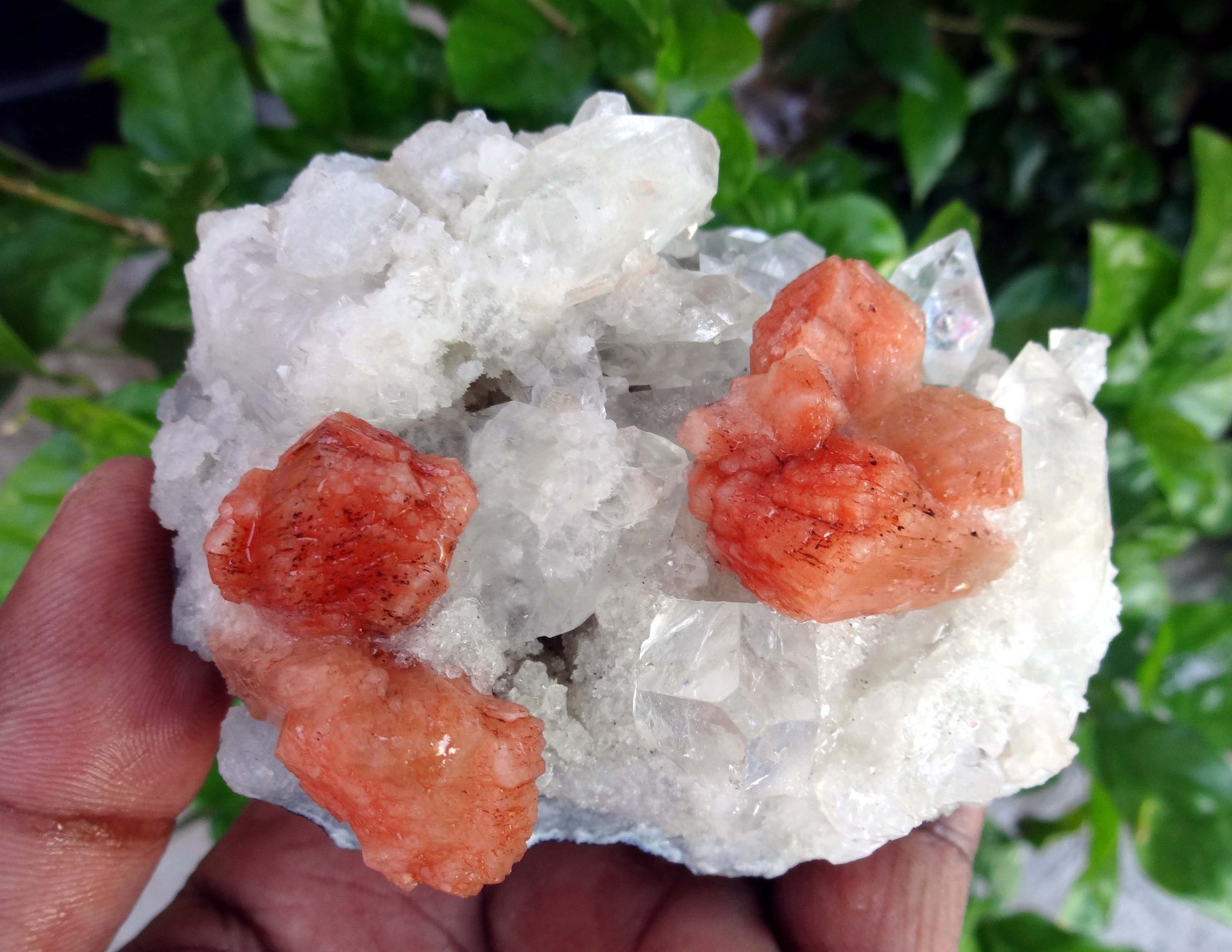 stilbite crystals w/ apophyllite (Modified Item) matrix minerals specimen j-7